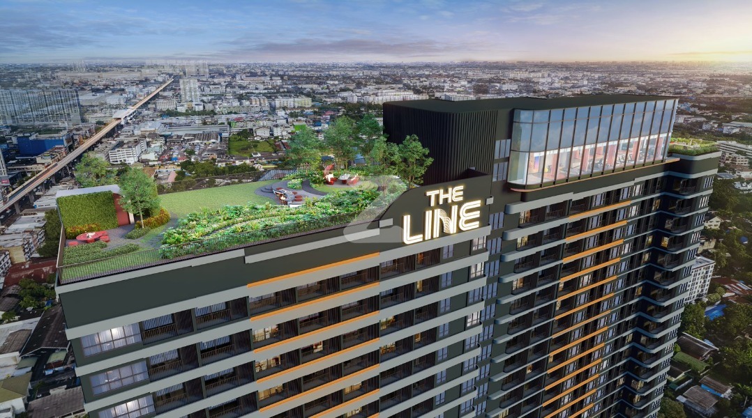 เดอะ ไลน์ ไวบ์ The Line Vibe