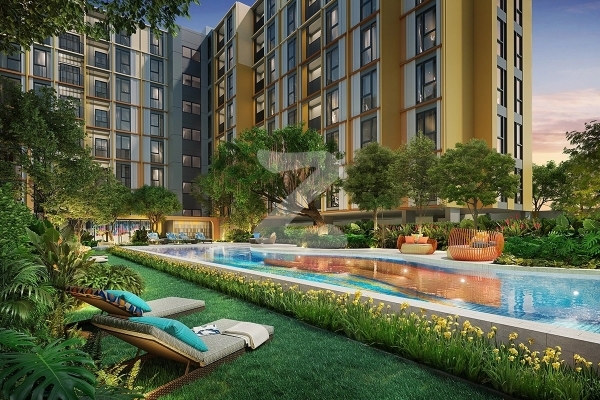 เดอะ เบส ไรส์ ภูเก็ต The Base Rise Phuket