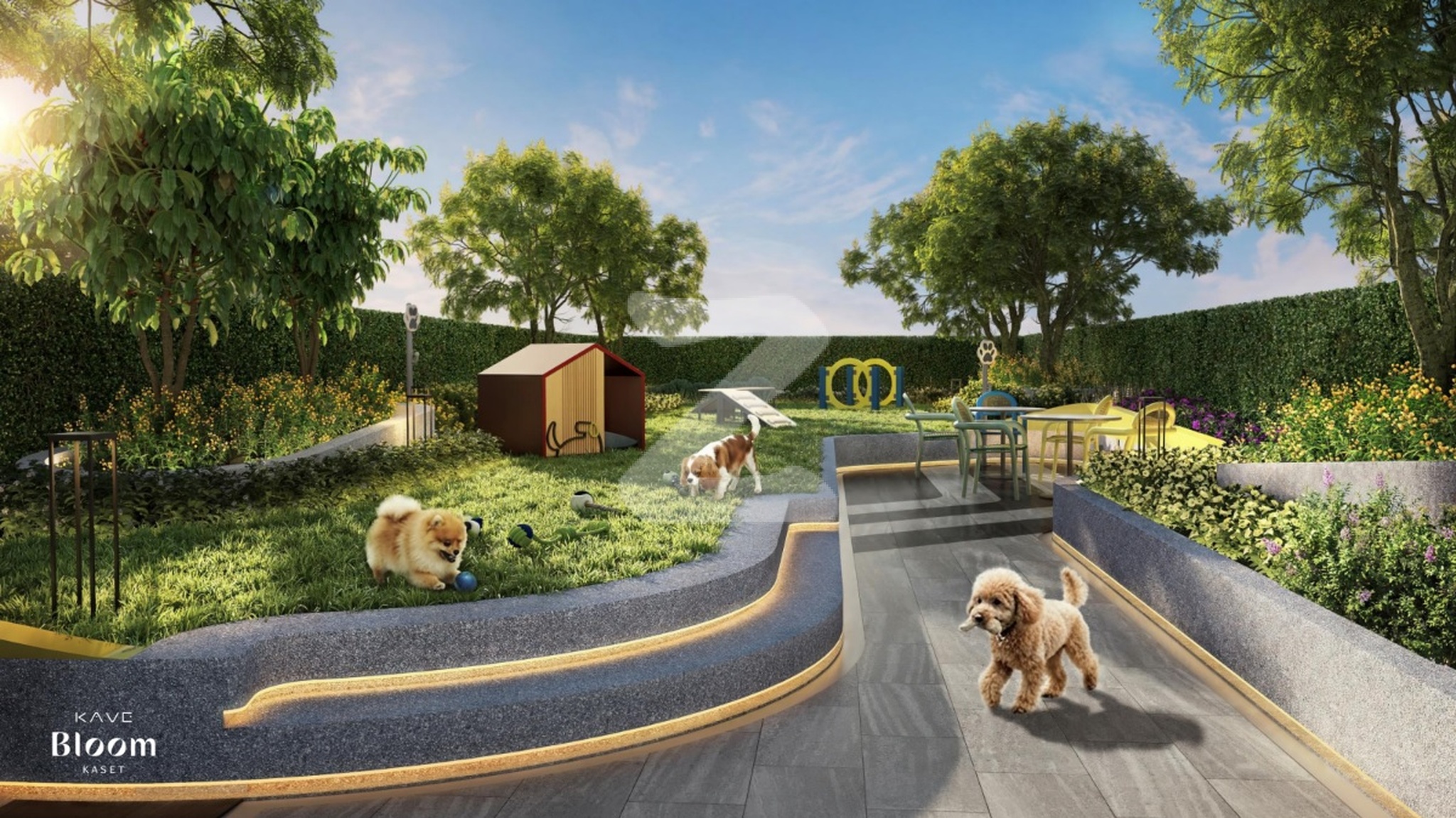 ภาพจำลอง สวนสำหรับสัตว์เลี้ยง Pet Park เคฟ บลูม เกษตร