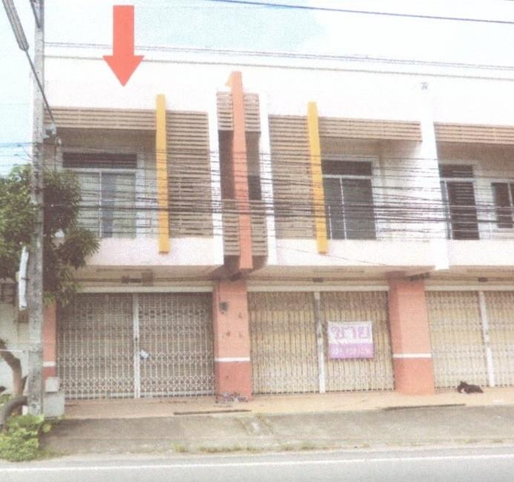 ทรัพย์สถาบันโดย  ตึกแถว-อาคารพาณิชย์
