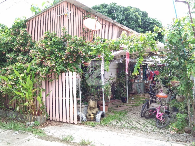 ขายบ้านเดี่ยว บ้านติดน้ำปิง : เจ้าของขายเอง