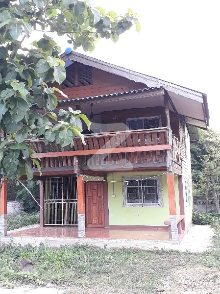 ให้เช่าบ้านเดี่ยว  ถนนใกล้สนามแข่งรถบุรีรัมย์ แยกภัทร : เจ้าของให้เช่าเอง (งดรับนายหน้า)