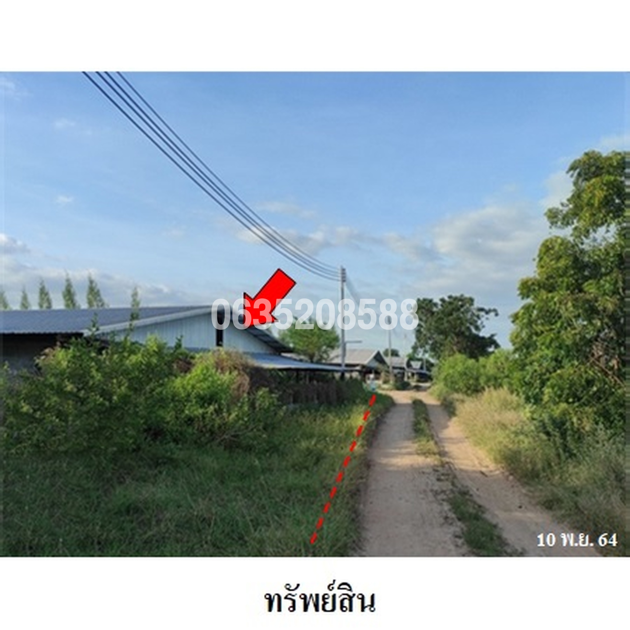 ขายบ้านเดี่ยว ถนนสายด่านขุนทด-หนองสรวง (ทล.2148)