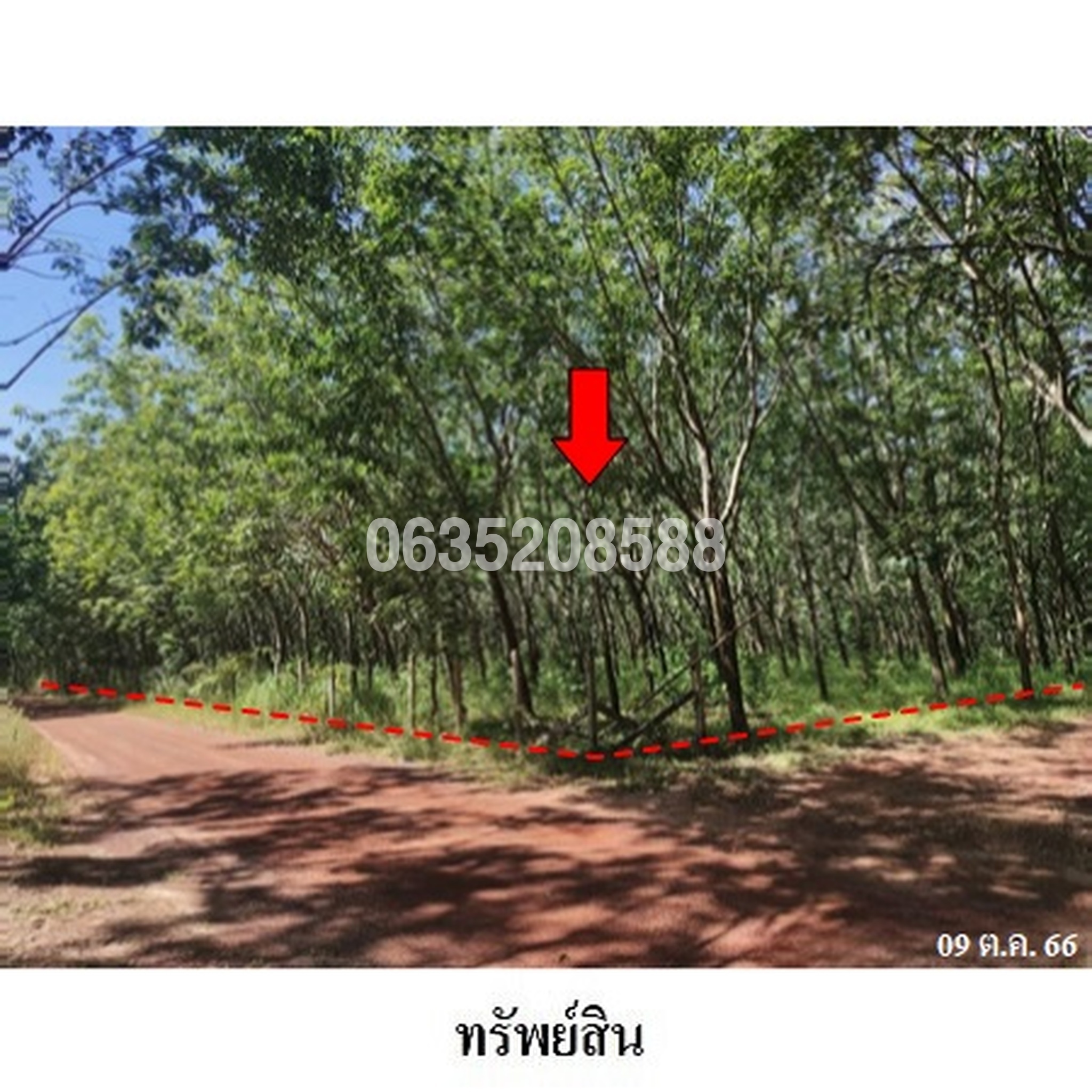 ขายที่ดินเปล่า ถนนสายบ้านนาป่าน-บ้านคำไผ่ (บก.3013)