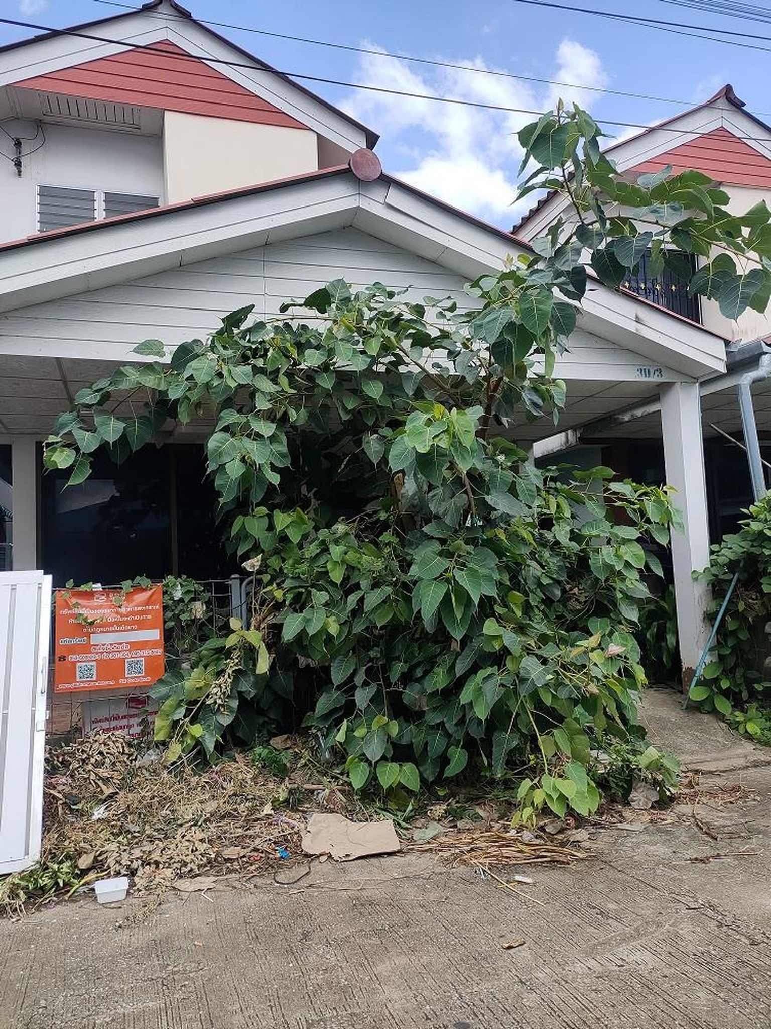 ทรัพย์สถาบันโดย GHB บ้านเดี่ยว แม่สาย เชียงราย