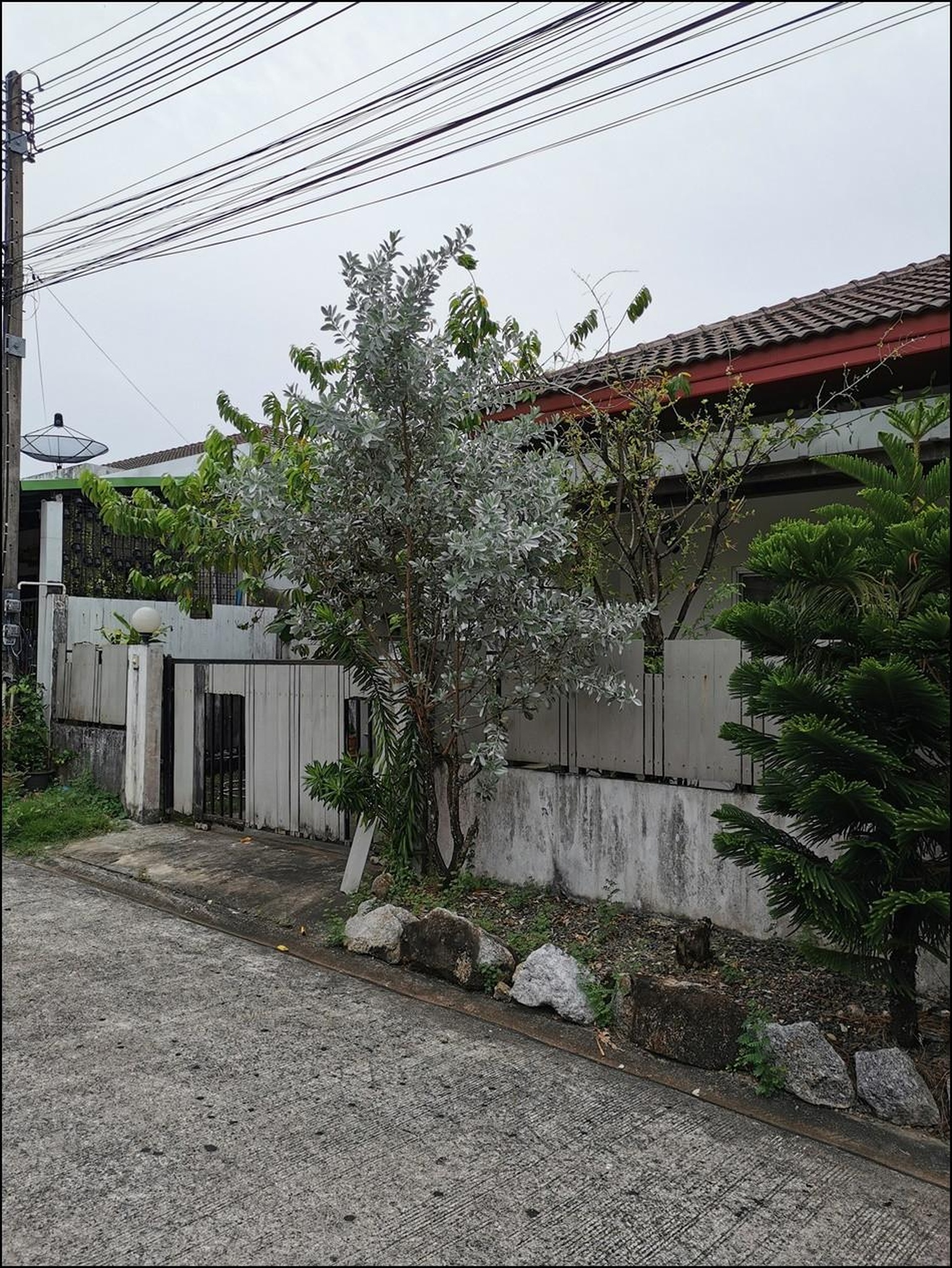ทรัพย์สถาบันโดย GHB บ้านแฝด ถลาง ภูเก็ต