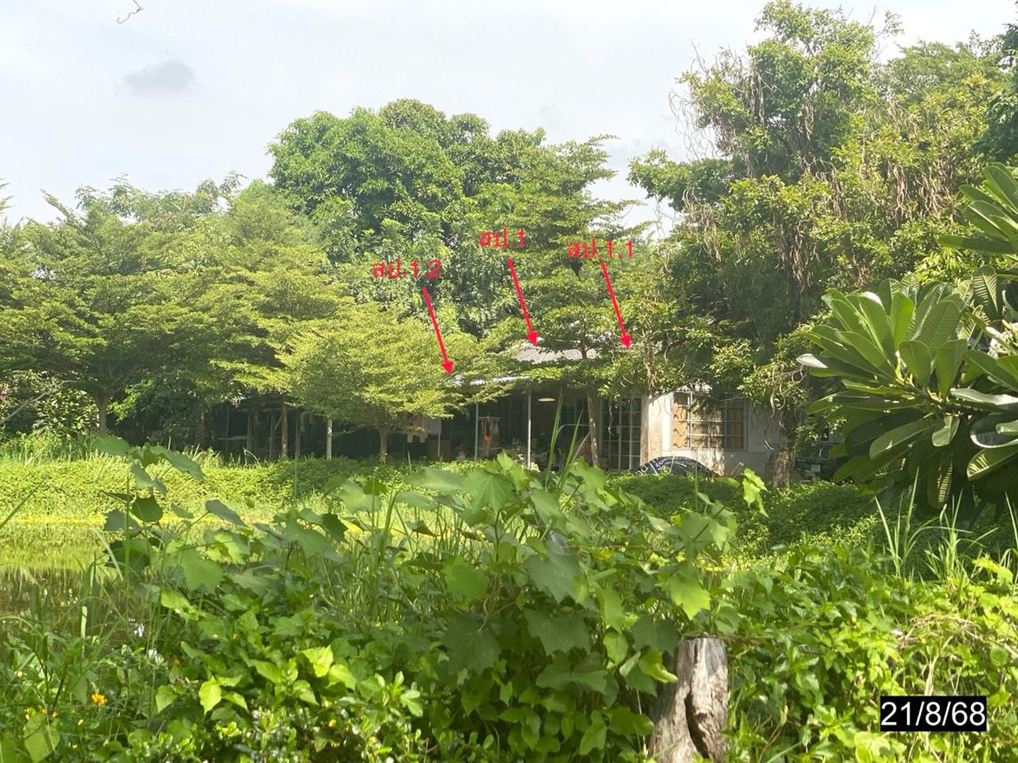 ทรัพย์สถาบันโดย KASIKORNBANK บ้านเดี่ยว  ถนนสายหัวนาคำ - ห้วยเม็ก (กส.2025)