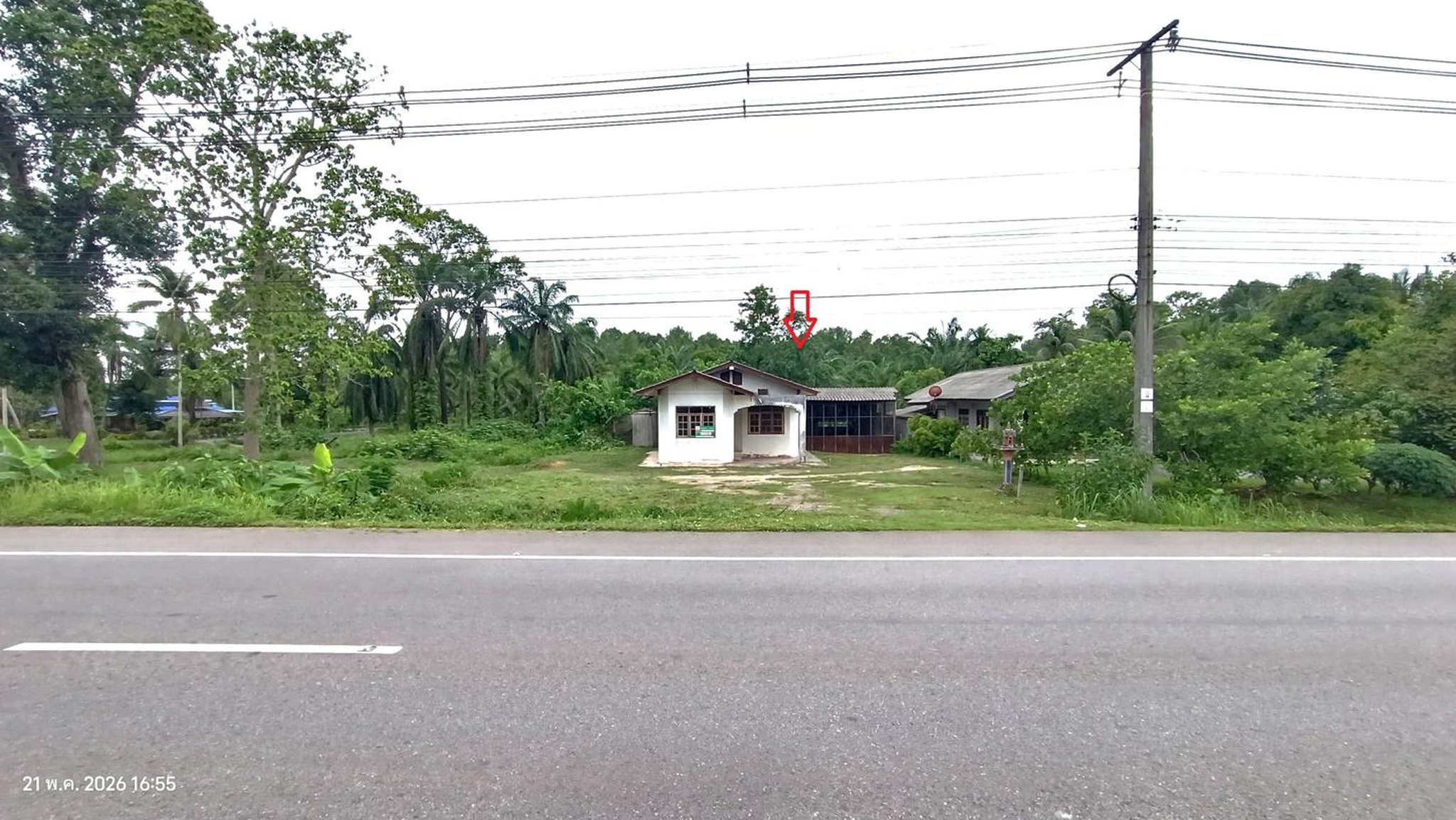 ทรัพย์สถาบันโดย KASIKORNBANK บ้านเดี่ยว ถนนเพชรเกษม (ทล.4)