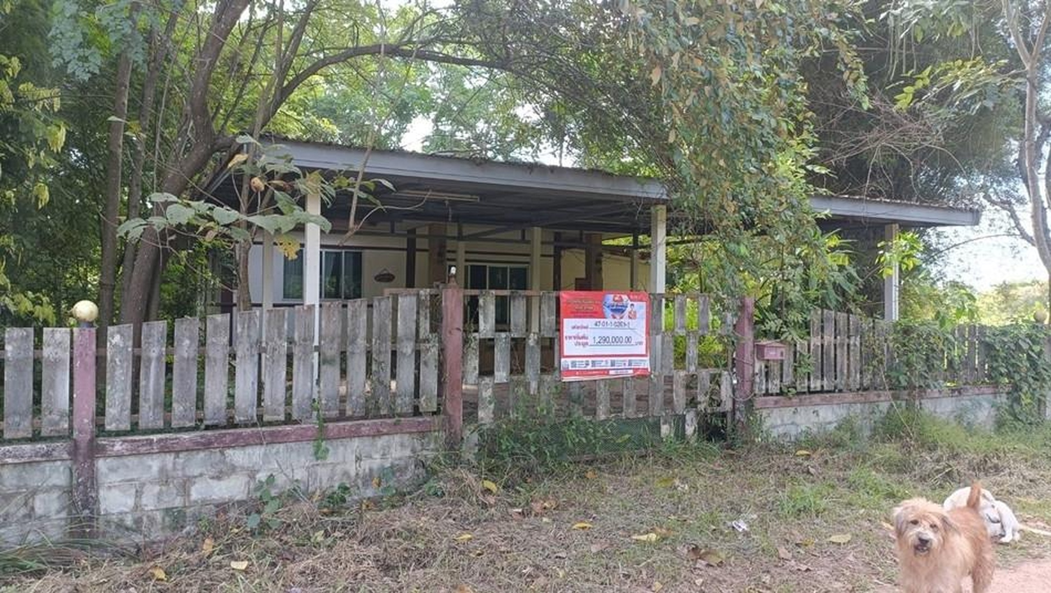 ทรัพย์สถาบันโดย GHB บ้านเดี่ยว ดงขุมข้าวใต้