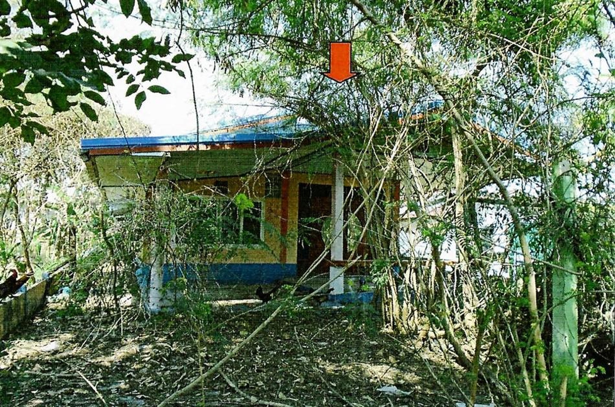 ทรัพย์สถาบันโดย GHB บ้านเดี่ยว หนองโพน