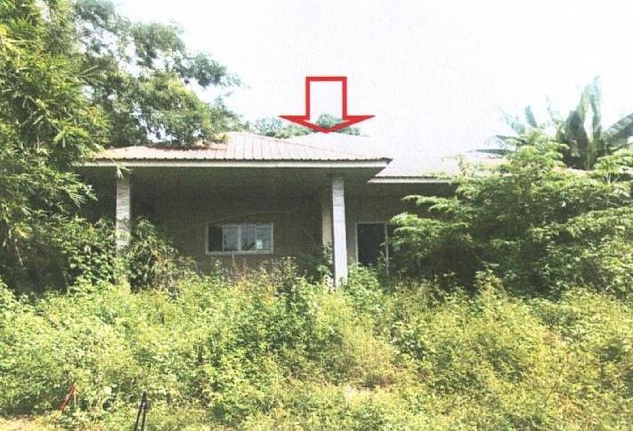 ทรัพย์สถาบันโดย GHB บ้านเดี่ยว  เมืองหนองบัวลำภู หนองบัวลำภู