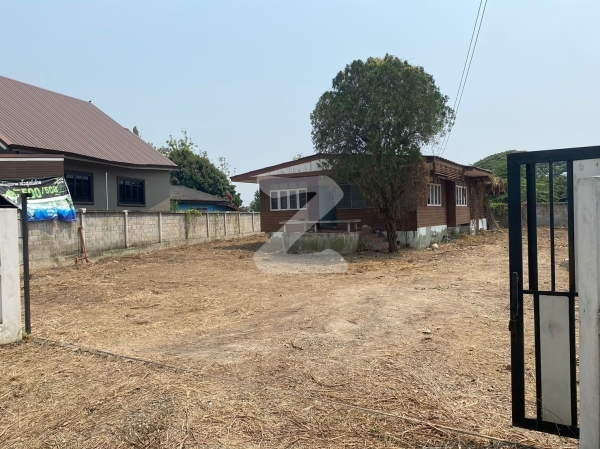 ขายที่ดินพร้อมบ้าน 3 นอน 250 วา ท่าวังตาล, สารภี, เชียงใหม่ ติดกับมูลนิธิสัมผัสใจ 5 นาที ถึงโรงพยาบาลแมคเคน 10 นาทีจาก โกลบอลเฮ้าส์ เชียงใหม่ บิ๊กซีแม