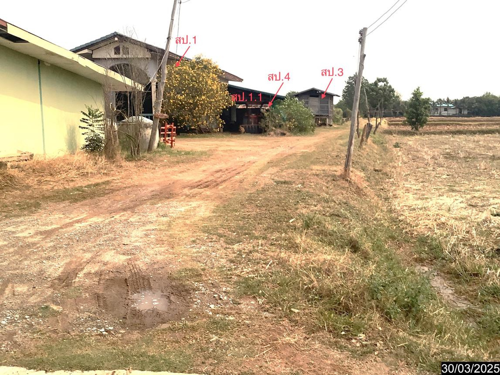 ทรัพย์สถาบันโดย KASIKORNBANK บ้านเดี่ยว ถนนสายบ้านปราสาท-บ้านไทรน้อย