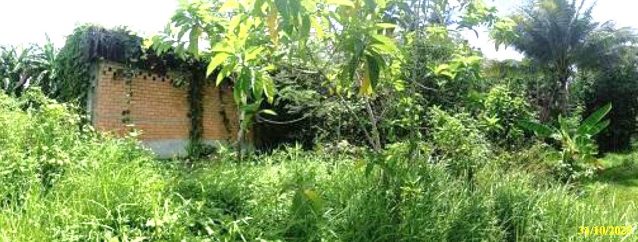 ทรัพย์สถาบันโดย KASIKORNBANK บ้านเดี่ยว ถนนสายยะหา - ปะแดรู - บาละ (ทล.4070)