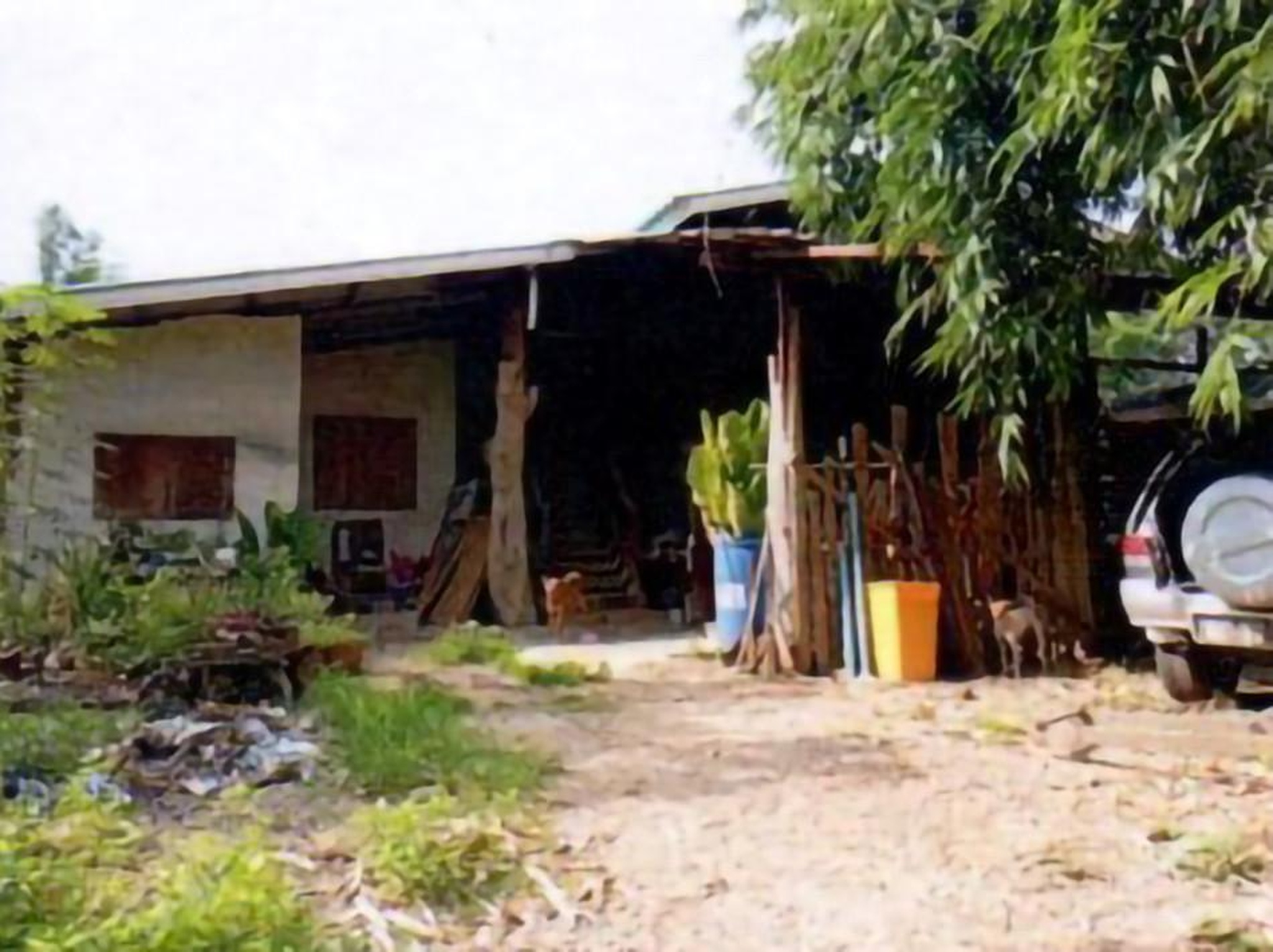 ทรัพย์สถาบันโดย GHB บ้านเดี่ยว ผาลาด