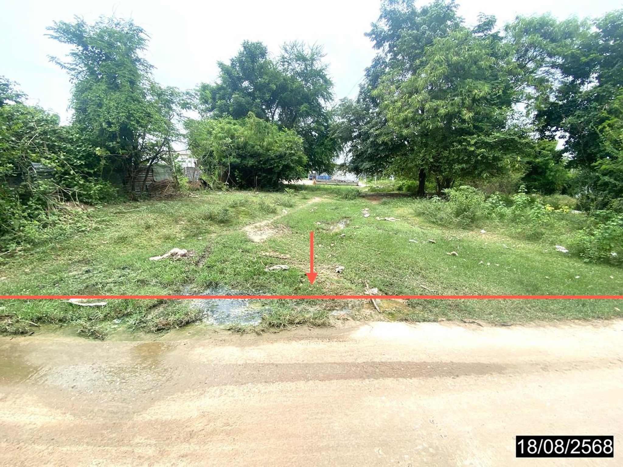 ทรัพย์สถาบันโดย KASIKORNBANK ที่ดิน ถนนสายห้วยเม็ก - ห้วยยางดง - ท่าคันโท (ทล.2009)