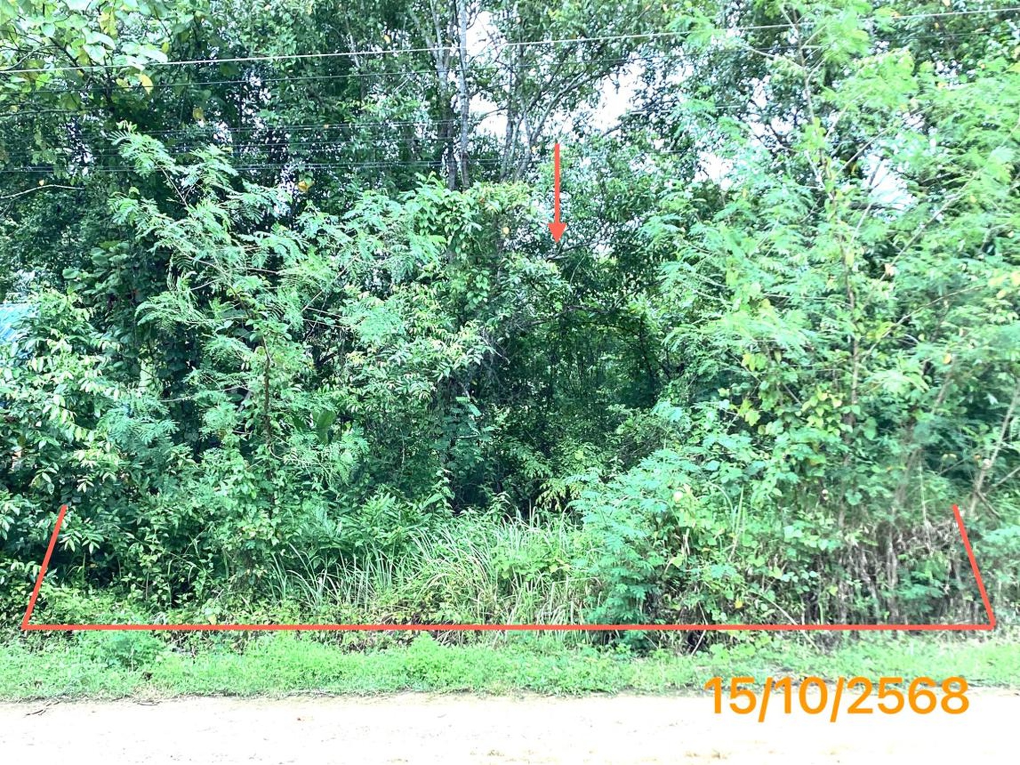 ทรัพย์สถาบันโดย KASIKORNBANK ที่ดิน ถนนสายลำทับ - ทุ่งใหญ่ (ทล.4038)