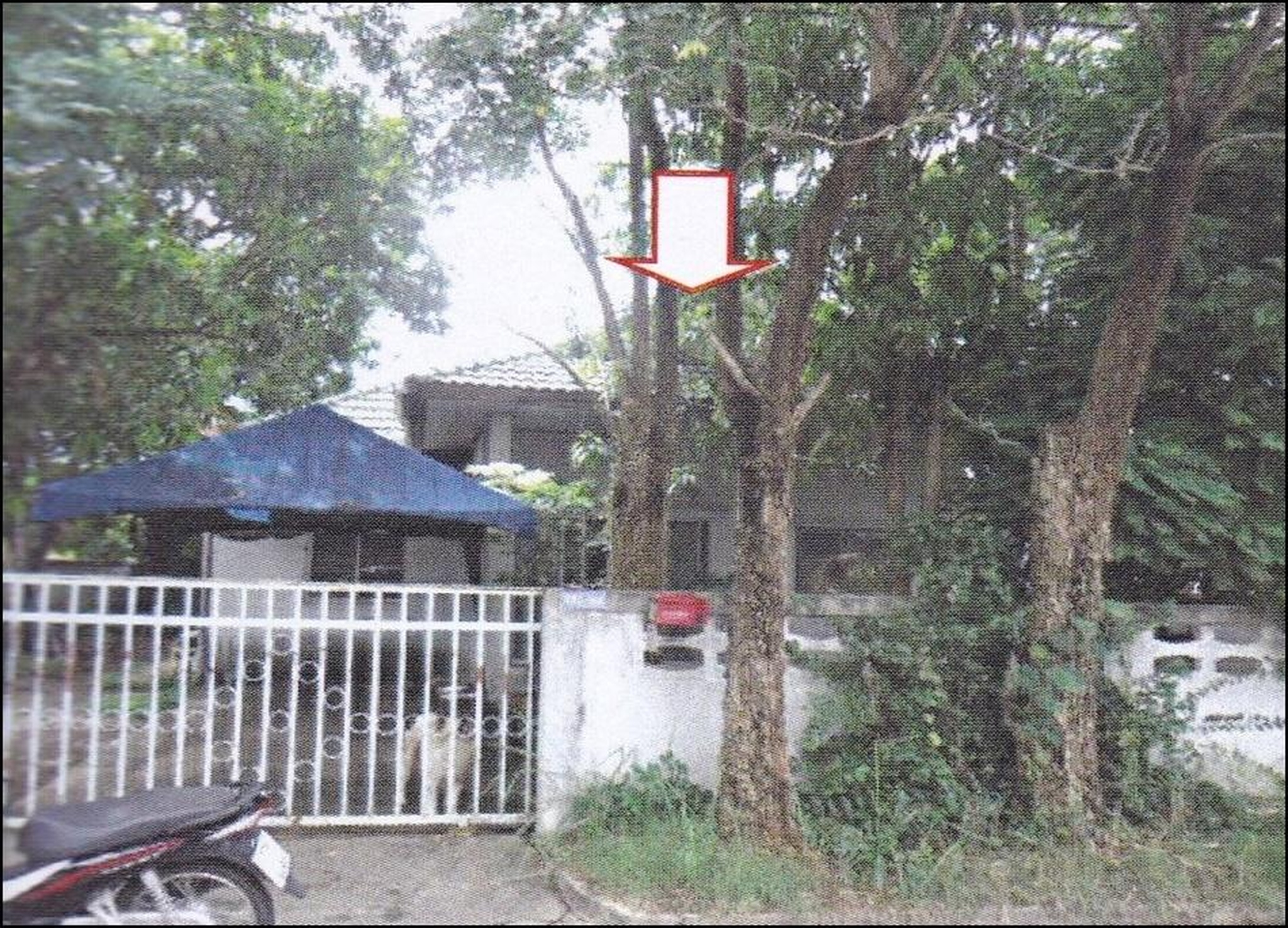 ทรัพย์สถาบันโดย GHB บ้านเดี่ยว เมืองอุดรธานี อุดรธานี