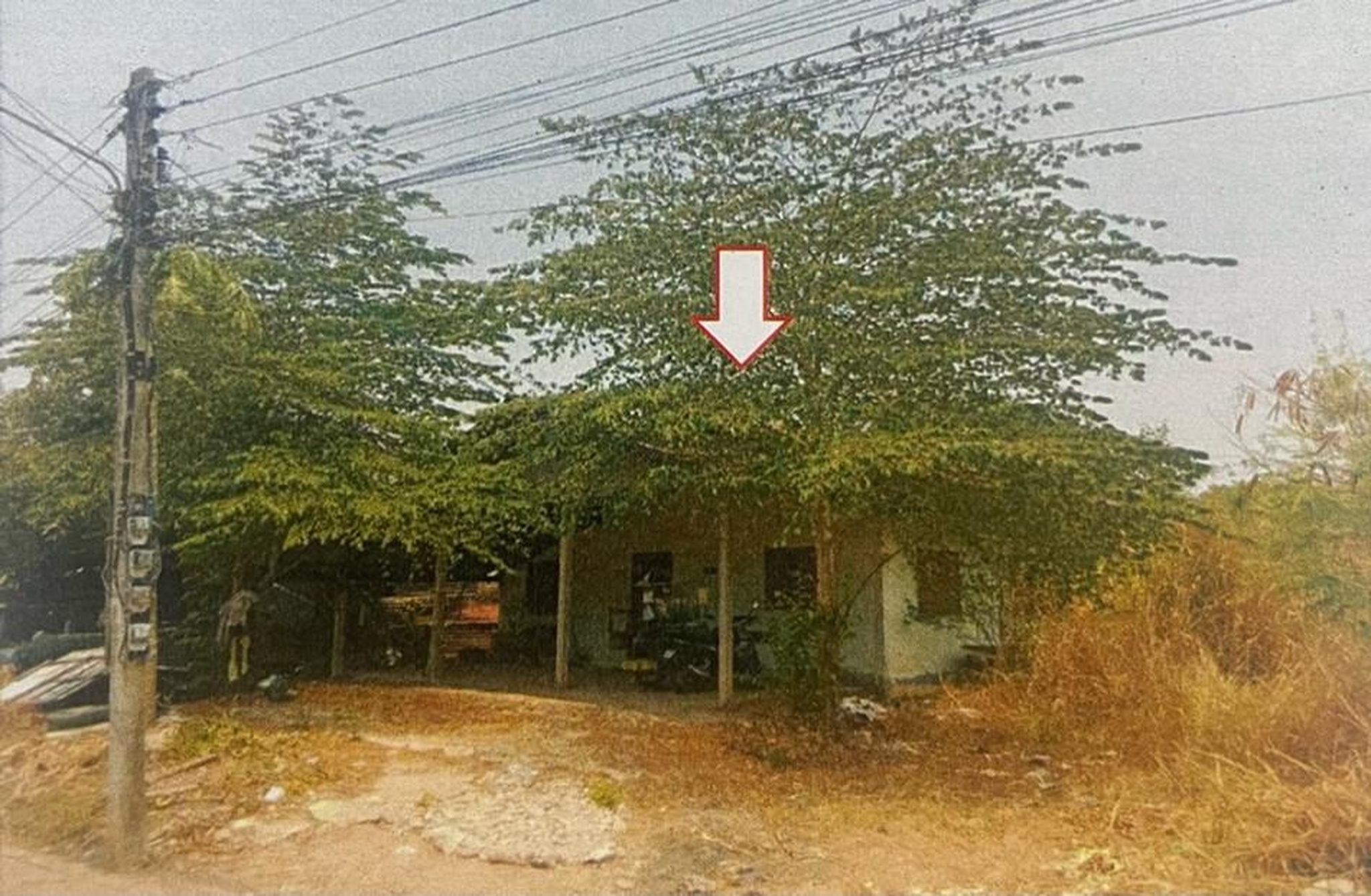 ทรัพย์สถาบันโดย GHB บ้านเดี่ยว ชุมชนเทศบาลแก้งคร้อ