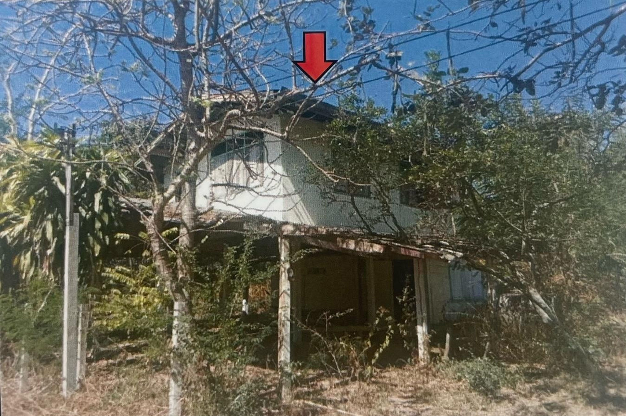 ทรัพย์สถาบันโดย GHB บ้านเดี่ยว บ้านซับพระไวย์