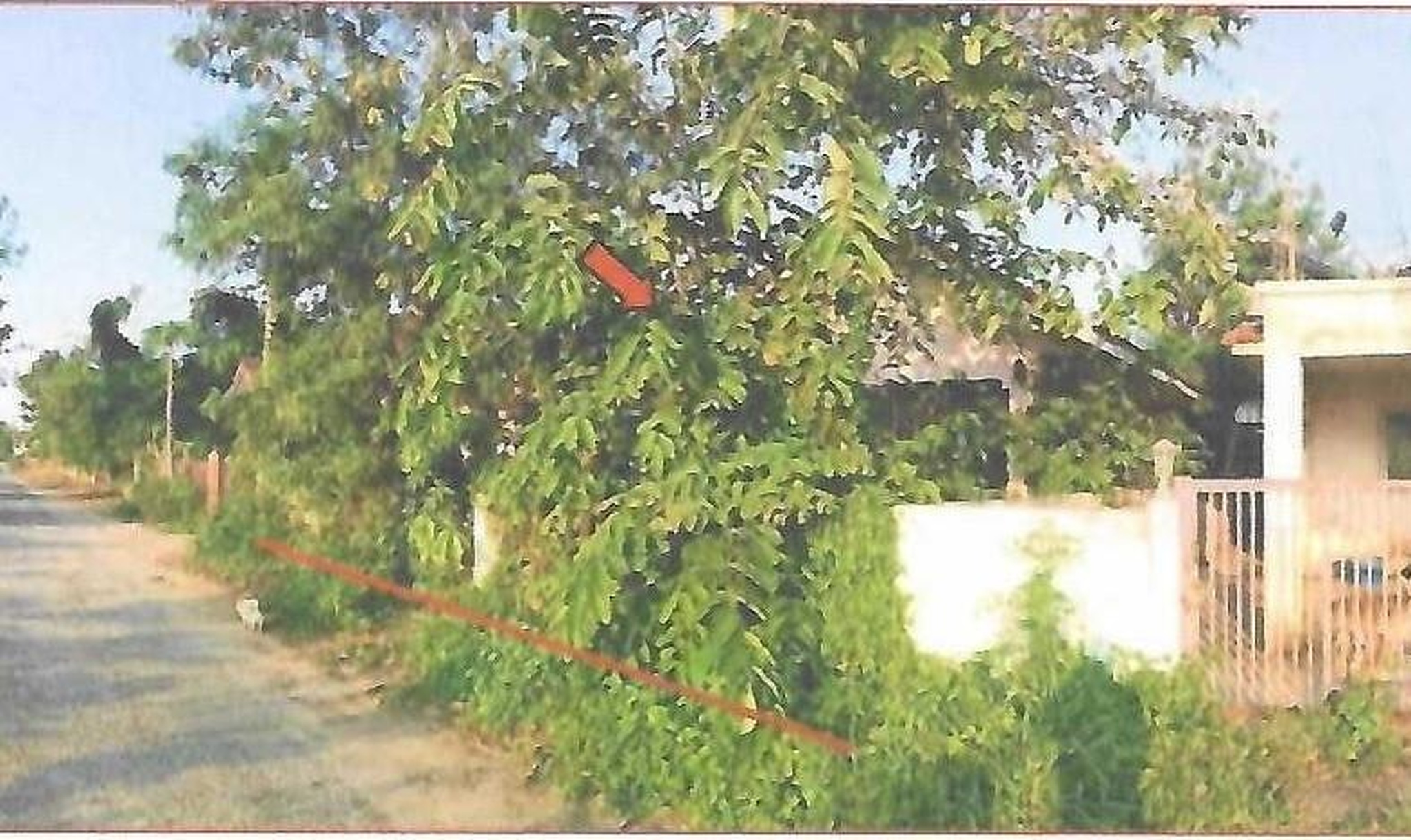 ทรัพย์สถาบันโดย GHB บ้านเดี่ยว รัญจวนแลนด์