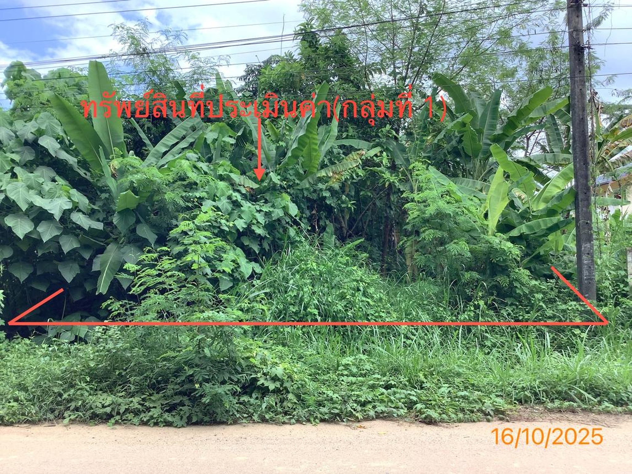 ทรัพย์สถาบันโดย KASIKORNBANK ที่ดิน ถนนนาโตง