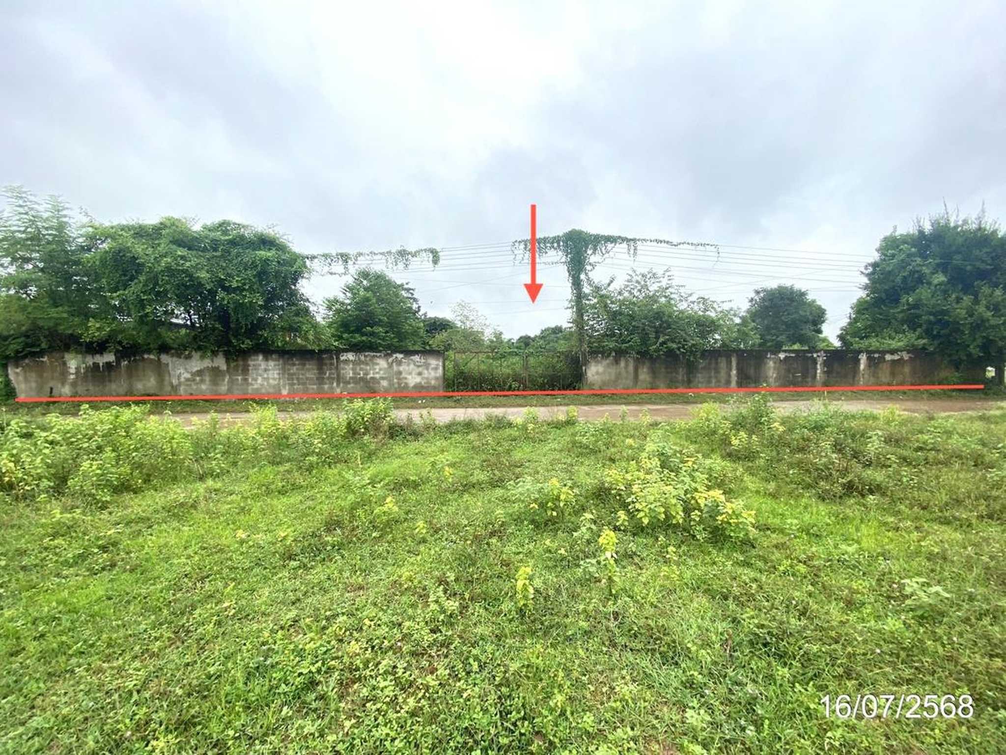 ทรัพย์สถาบันโดย KASIKORNBANK ที่ดิน ถนนสายบ้านหัวนาคำ - บ้านห้วยเม็ก (กส.2025)