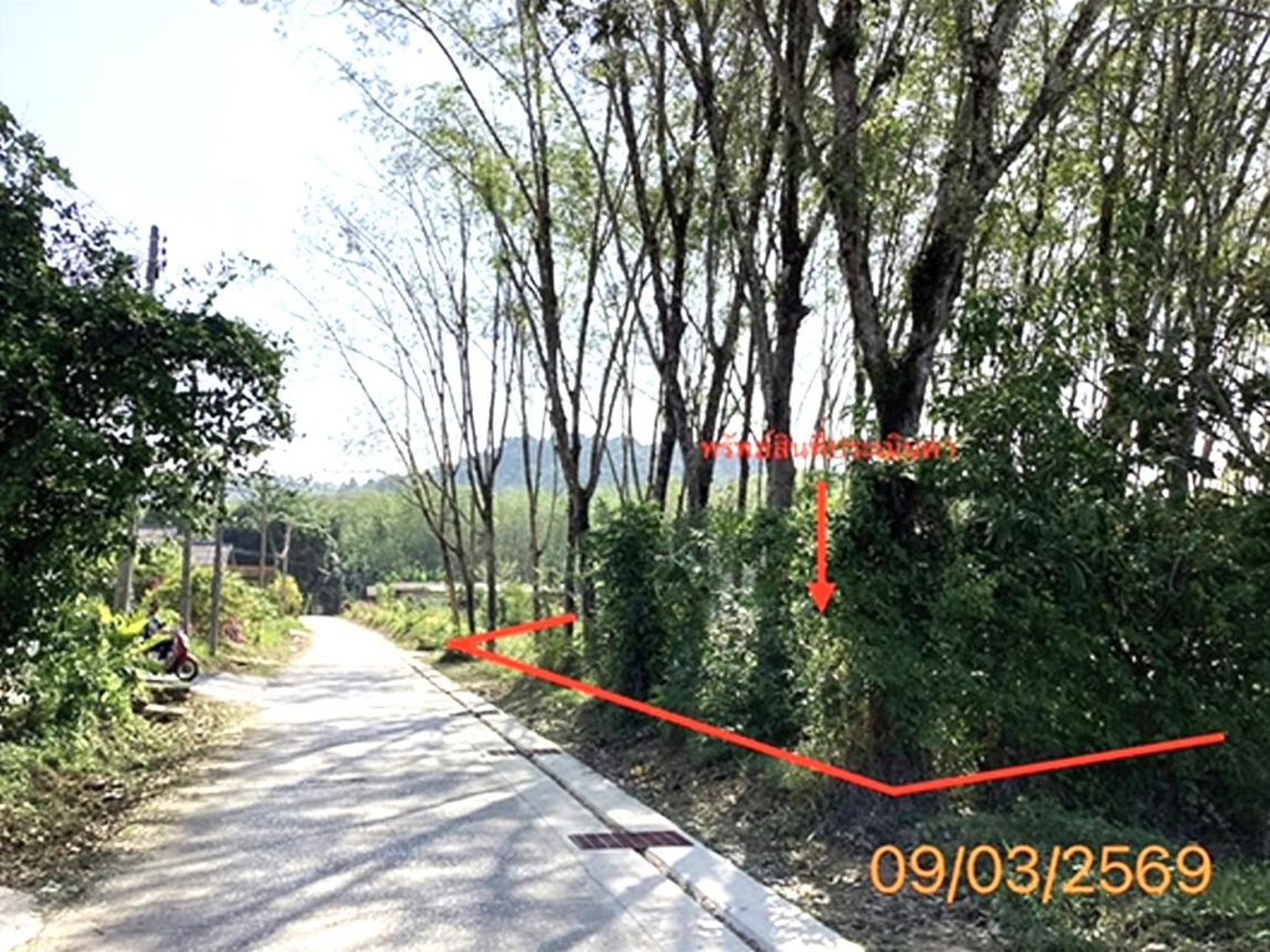ทรัพย์สถาบันโดย KASIKORNBANK ที่ดิน ซอยบ้านท่าค่าย-ริมทะเล ถนนสายเทศบาล-บ้านริมทะเล