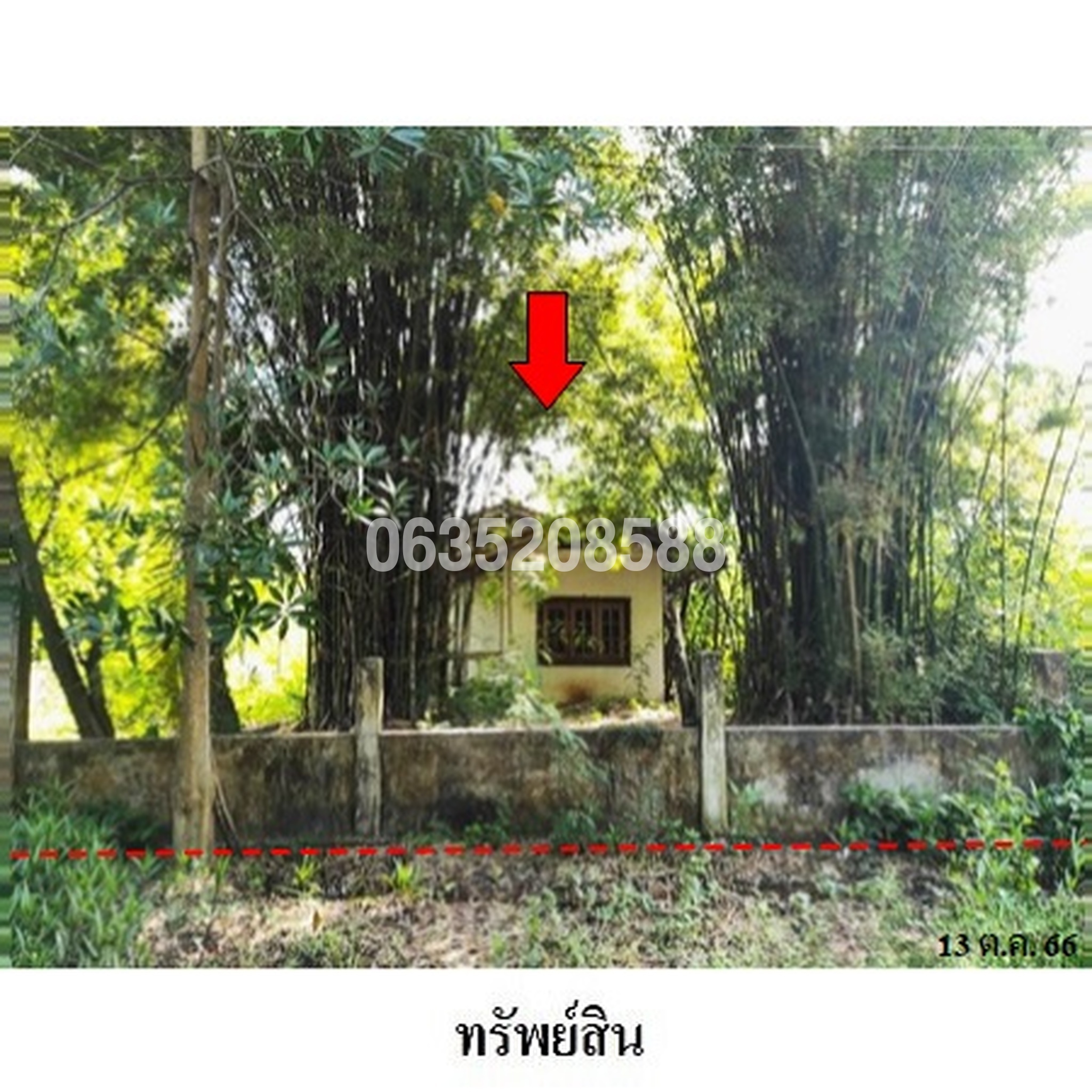 ขายบ้านเดี่ยว หนองเรือเมืองใหม่
