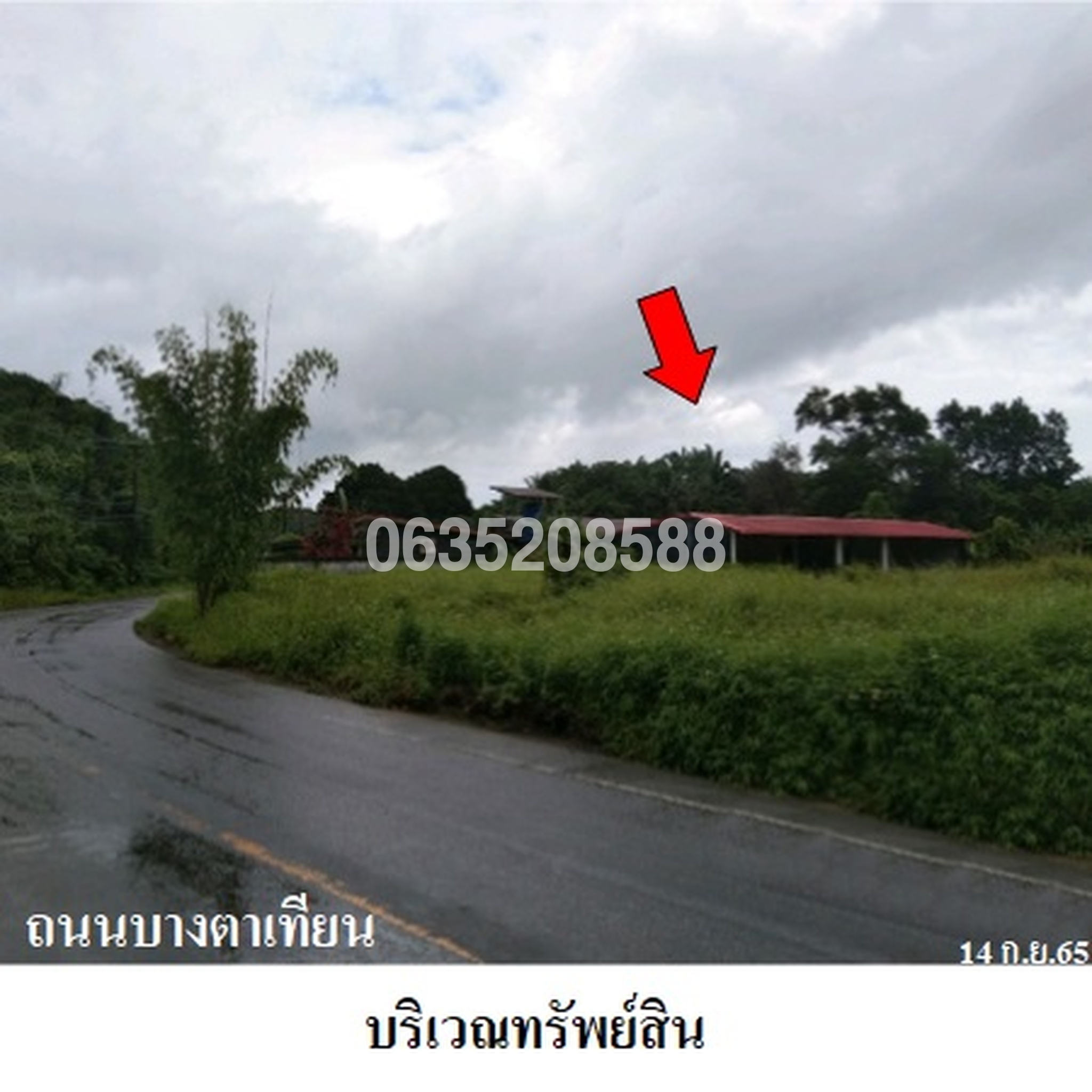 ขายบ้านเดี่ยว ถนนบางตาเทียน