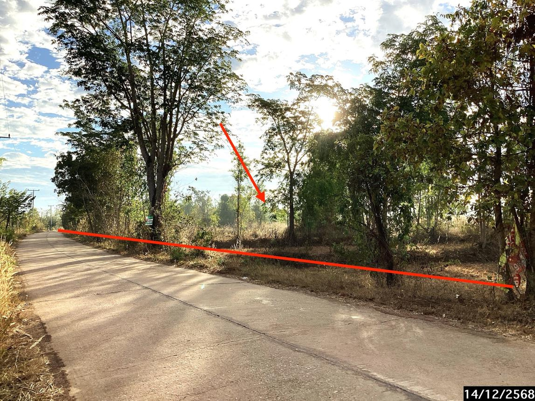ทรัพย์สถาบันโดย KASIKORNBANK ที่ดิน ถนนสายพรรณานิคม - อากาศอำนวย (ทล.2094)