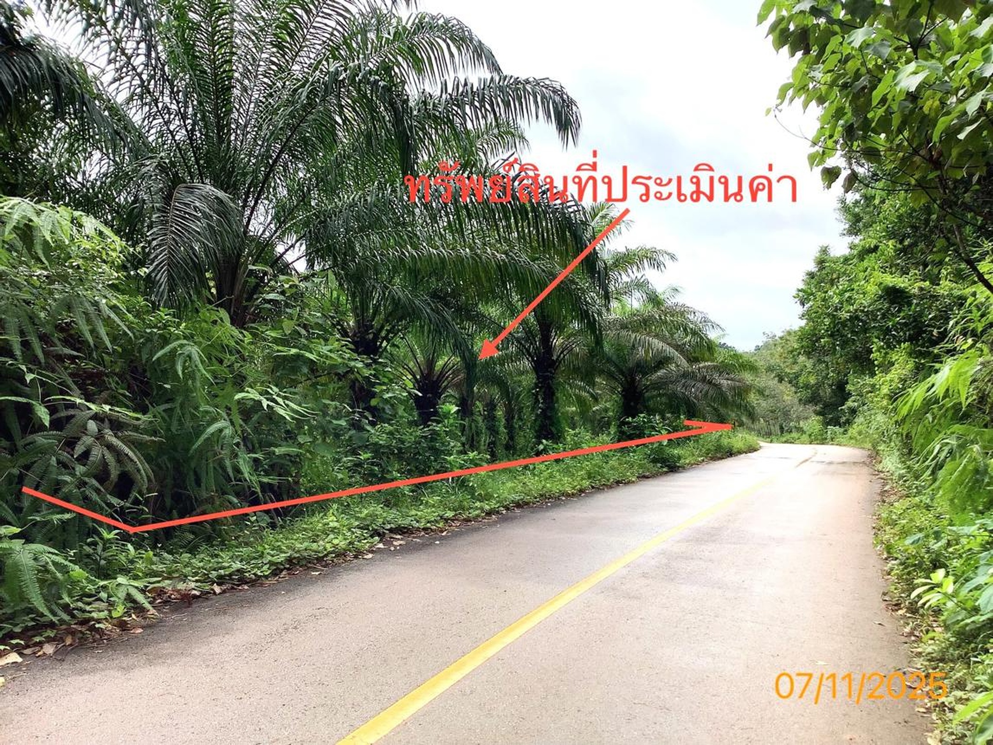 ทรัพย์สถาบันโดย KASIKORNBANK ที่ดิน ถนนสายบ้านหาดเลา-บ้านนาทุ่ง