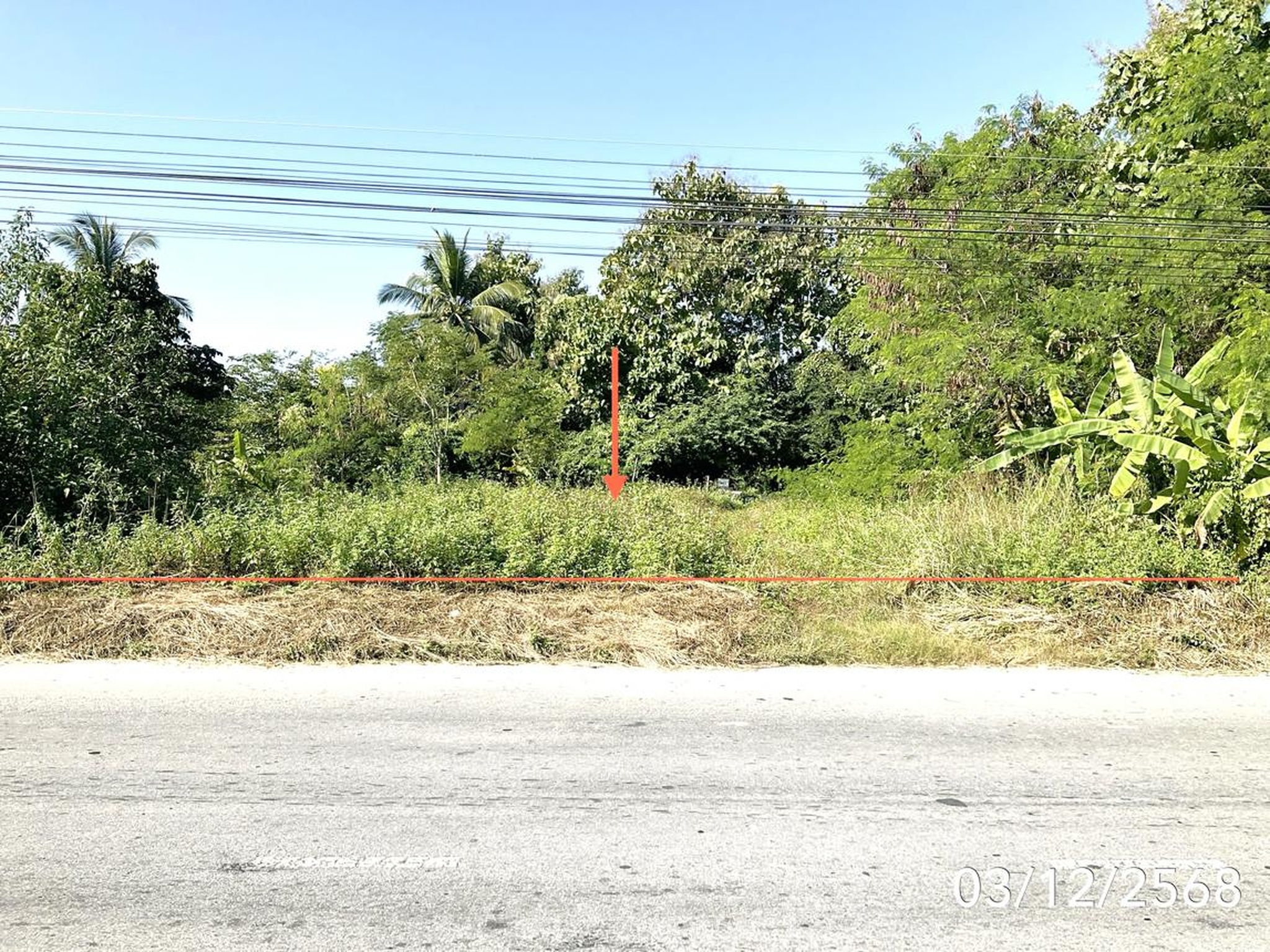 ทรัพย์สถาบันโดย KASIKORNBANK ที่ดิน ถนนสายเทิง-เชียงของ (ทล.1020)