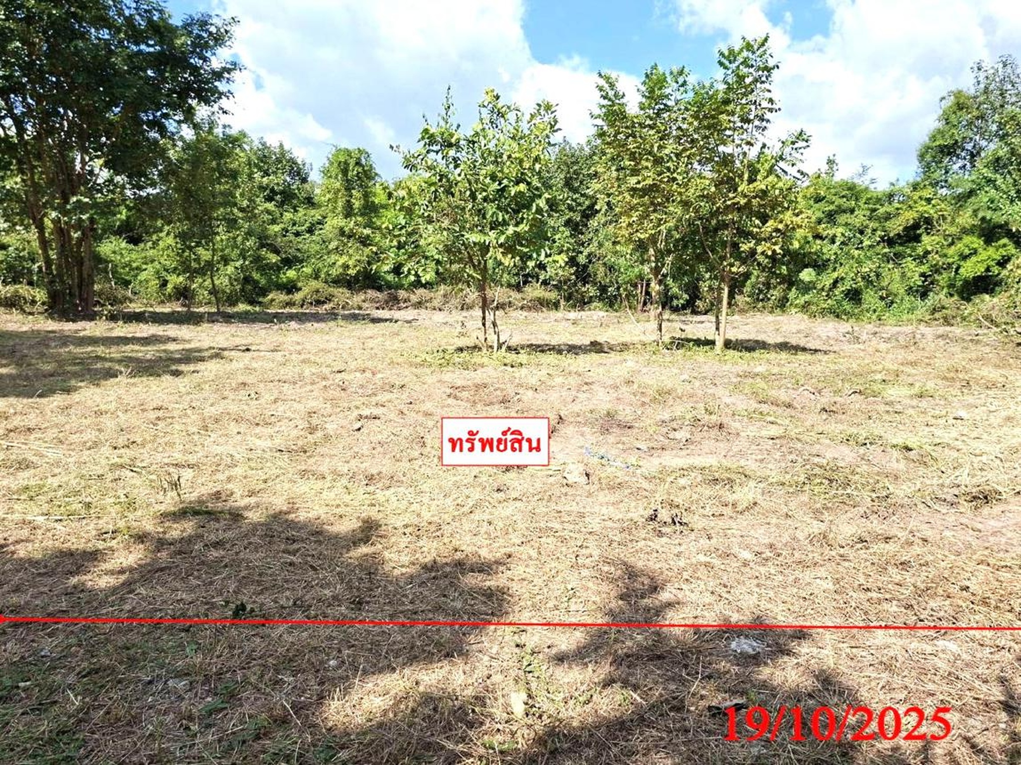 ทรัพย์สถาบันโดย KASIKORNBANK ที่ดิน ถนนเลียบคลองชลประทาน