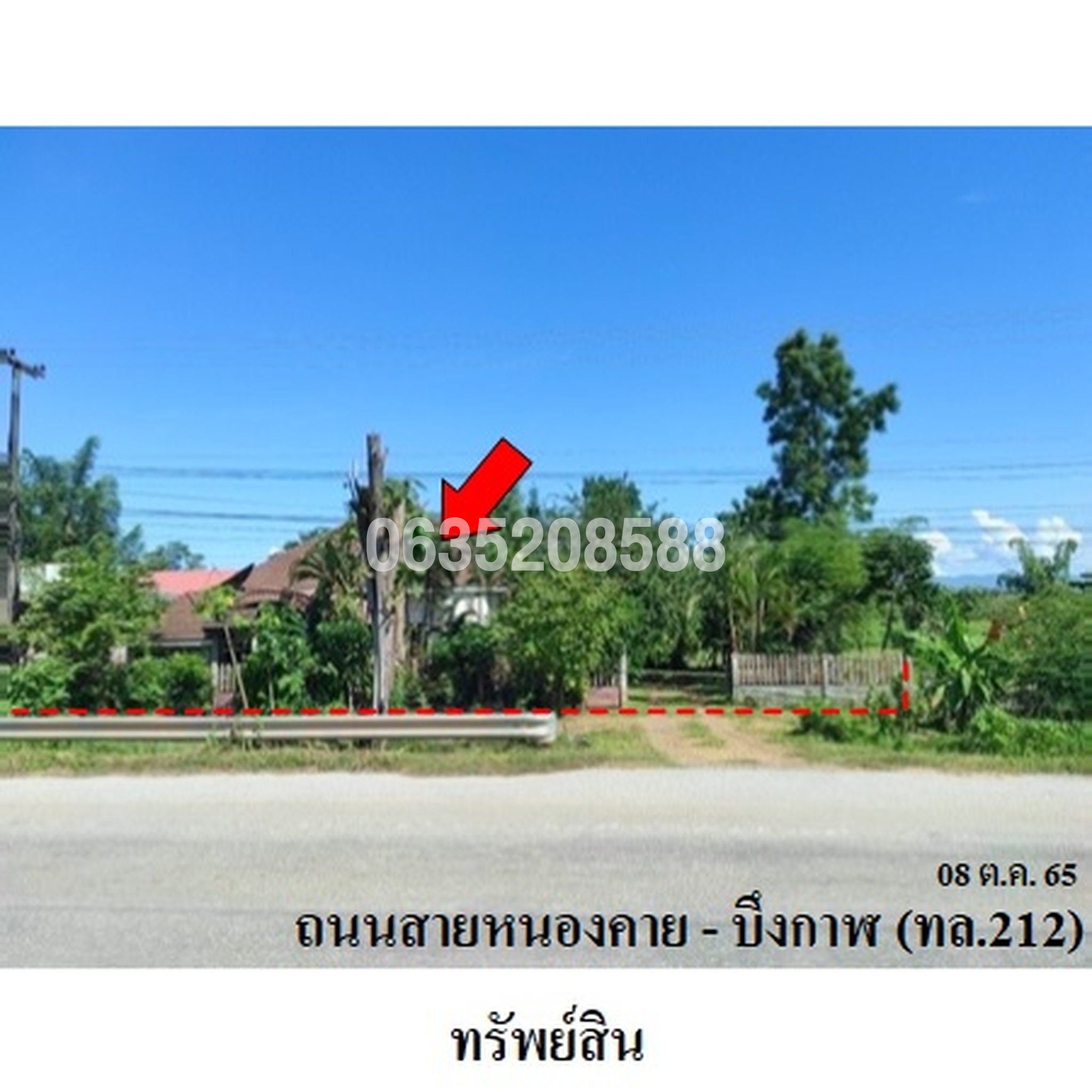 ขายบ้านเดี่ยว ถนนสายหนองคาย-บึงกาฬ (ทล.212)