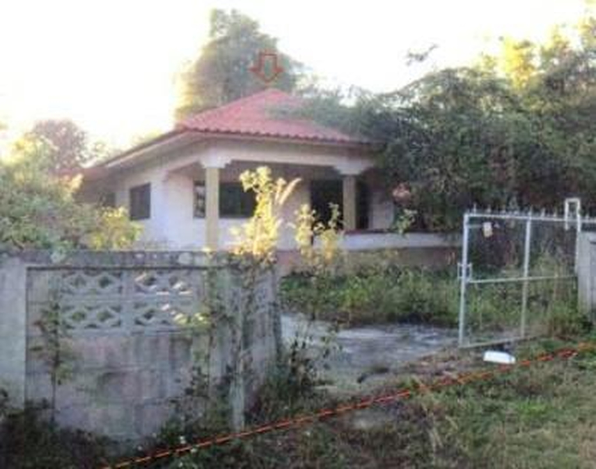 ทรัพย์สถาบันโดย GHB บ้านเดี่ยว บ้านป่าไคร้เหนือ