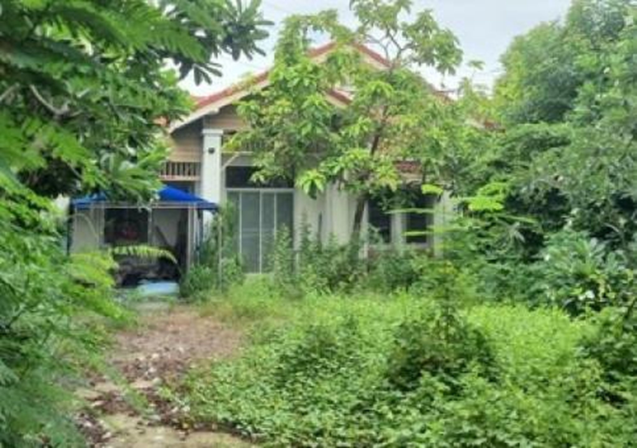 ทรัพย์สถาบันโดย GHB บ้านเดี่ยว วรารักษ์ โรจนะ-วังน้อย (Baan Wararak Rojana-Wangnoi)