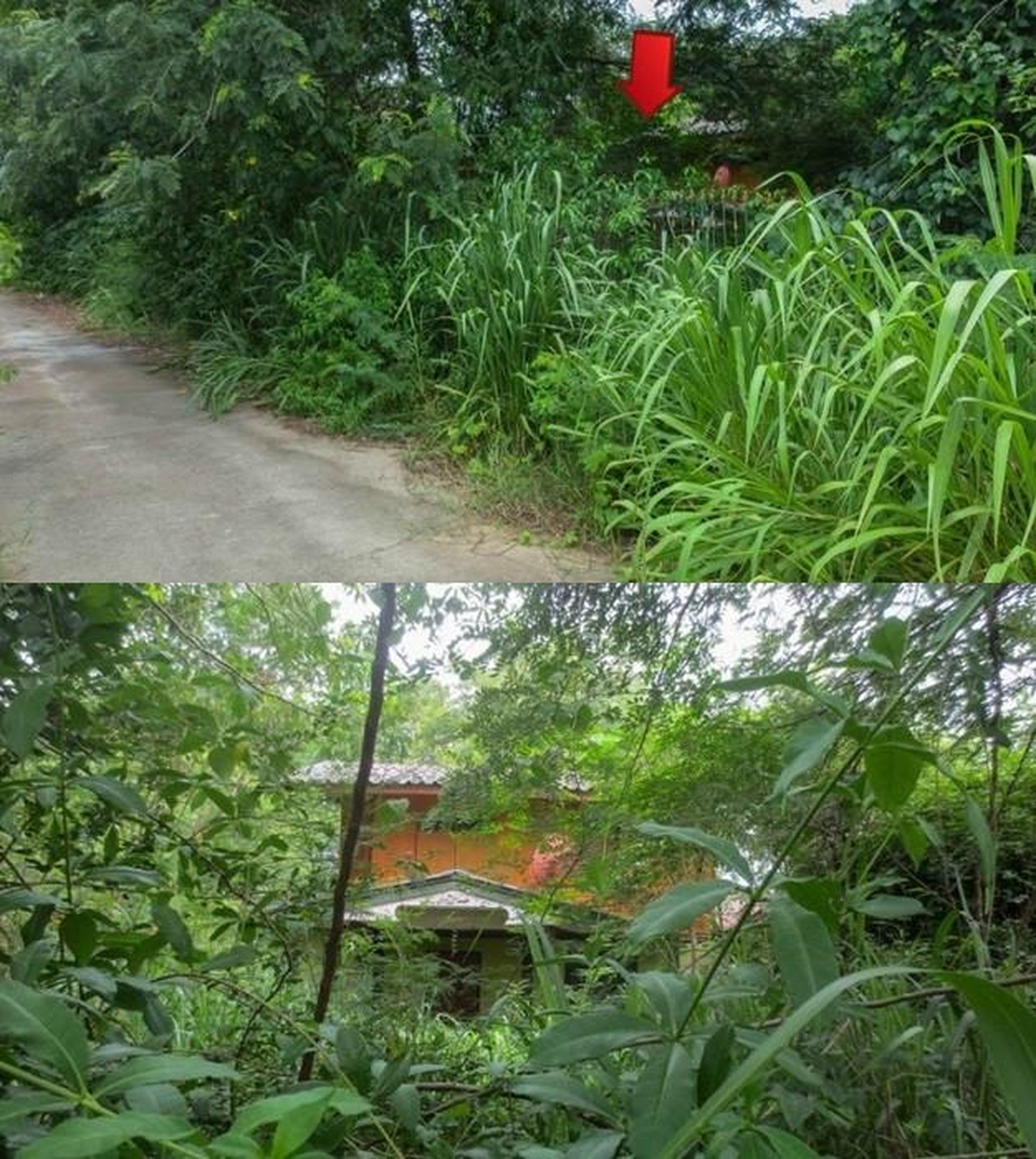 ทรัพย์สถาบันโดย GHB บ้านเดี่ยว สีมุม
