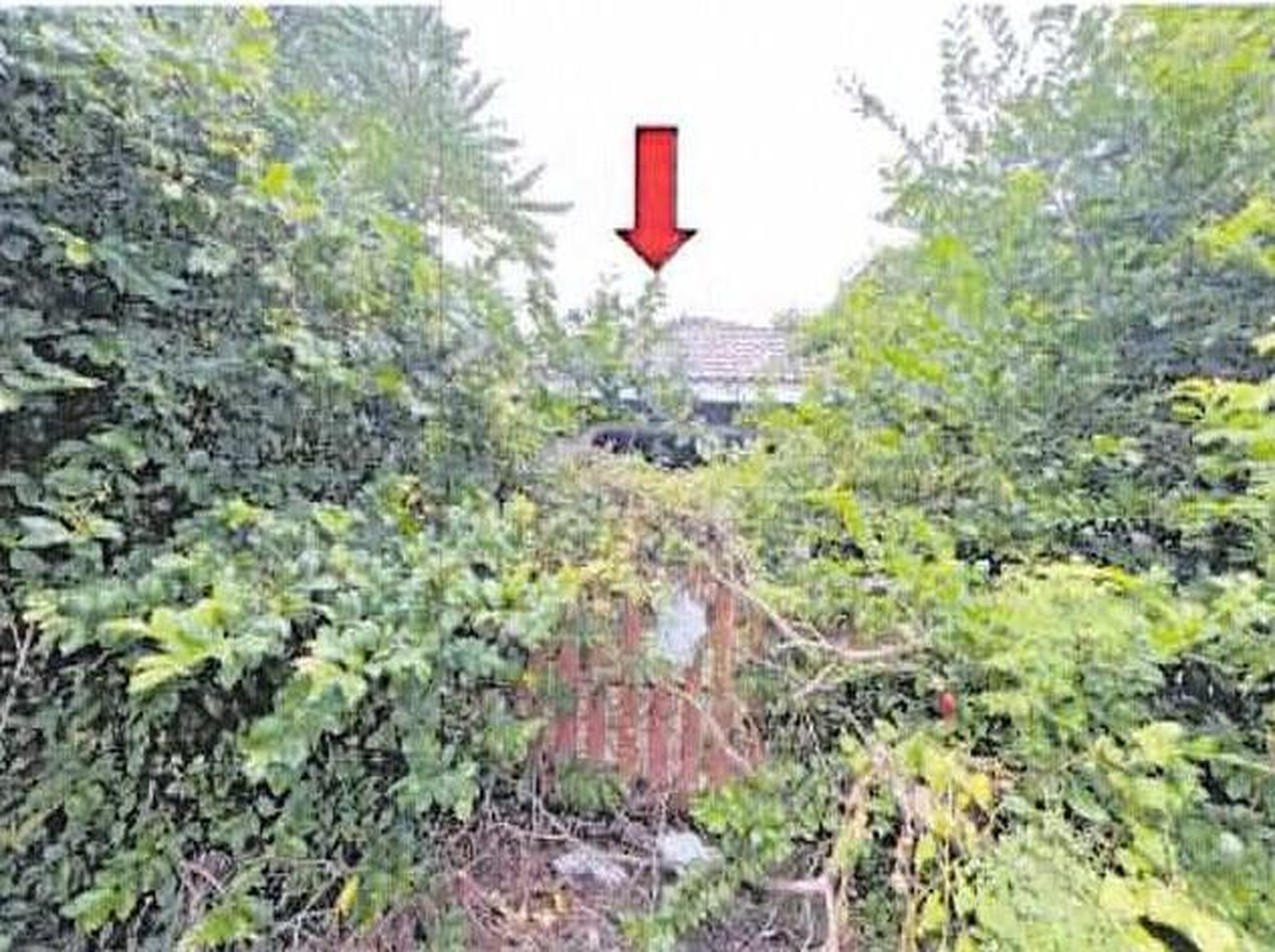 ทรัพย์สถาบันโดย GHB บ้านเดี่ยว เจริญนคร 10