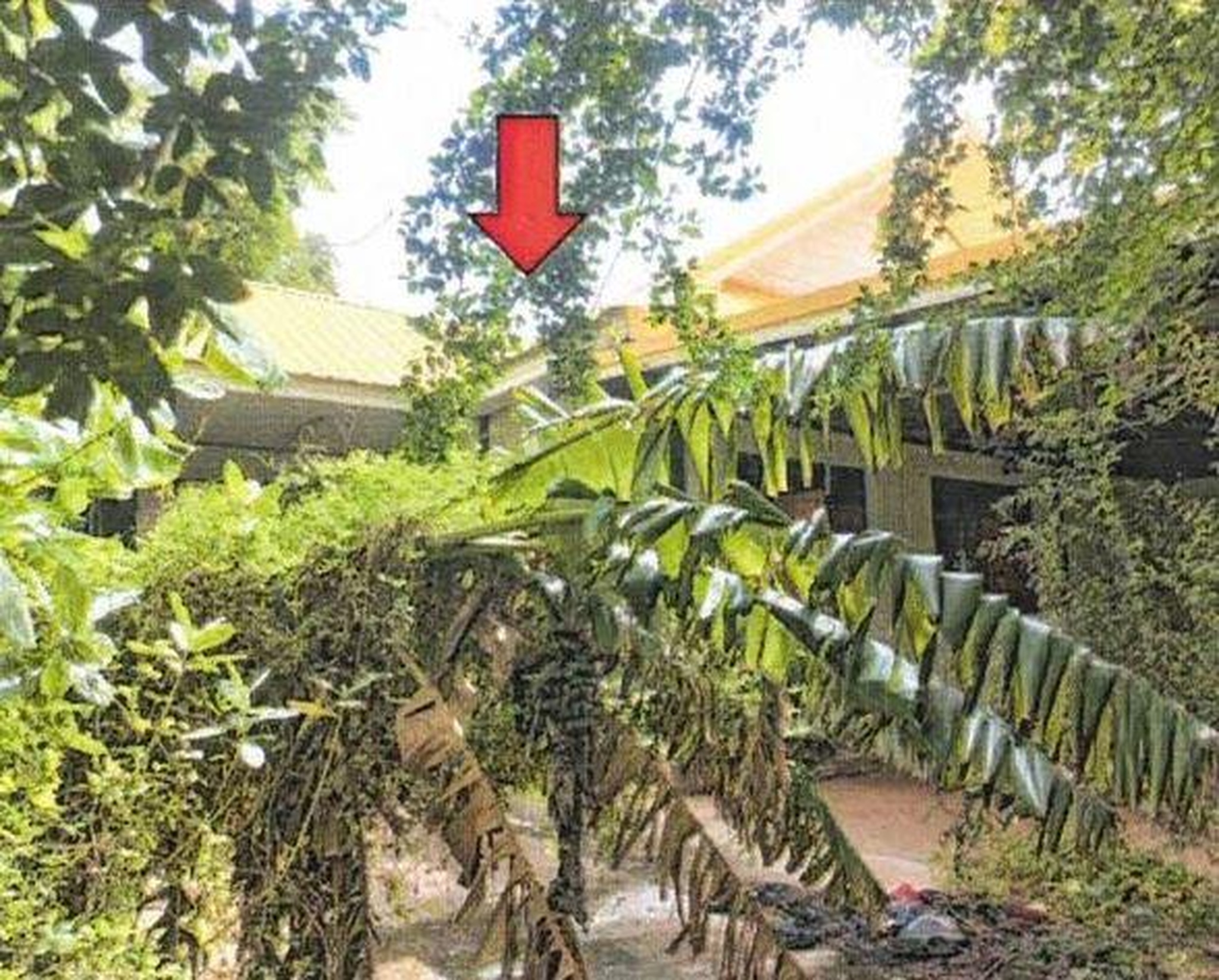 ทรัพย์สถาบันโดย GHB บ้านเดี่ยว บ้านชีลอง