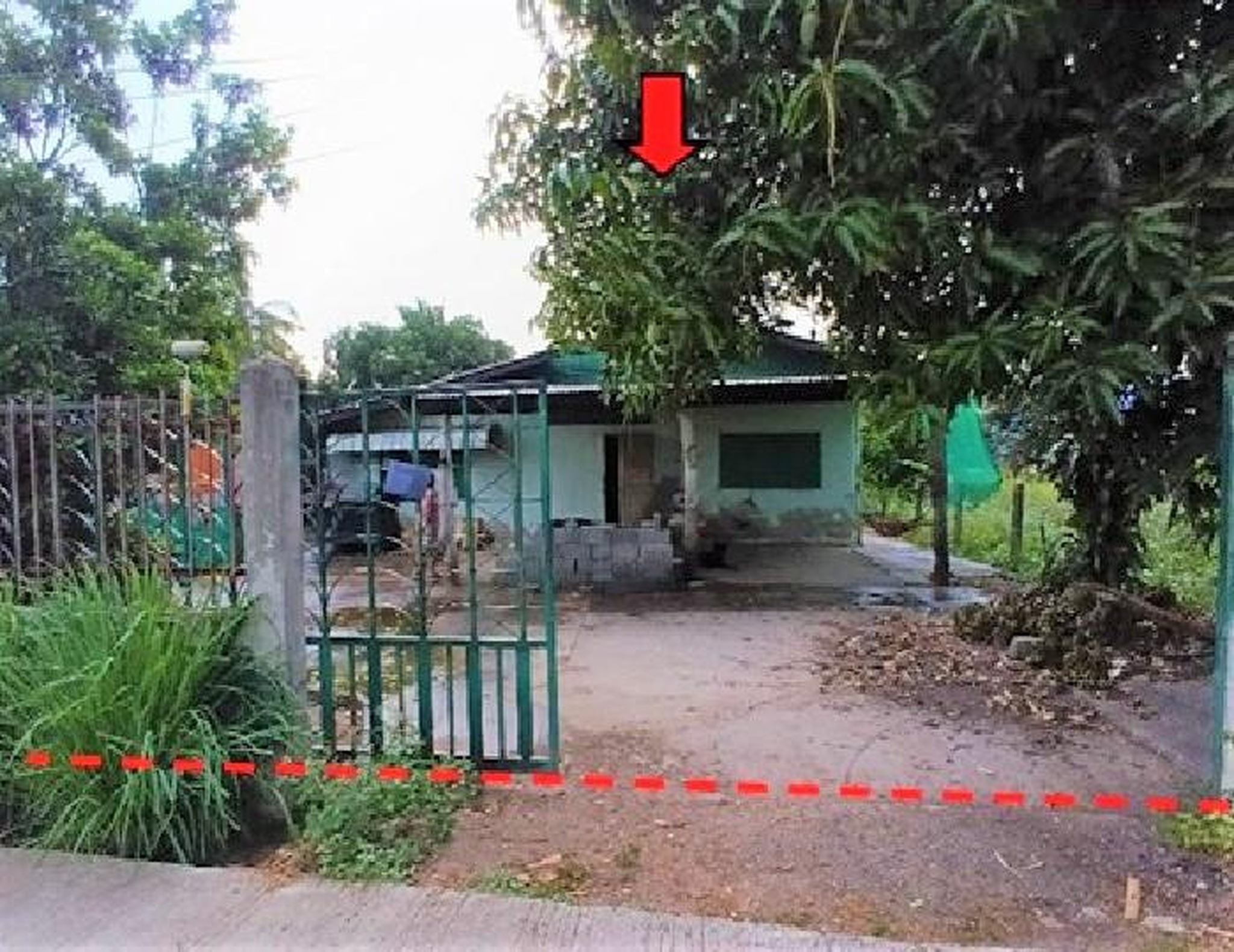 ทรัพย์สถาบันโดย GHB บ้านเดี่ยว หนองบัว