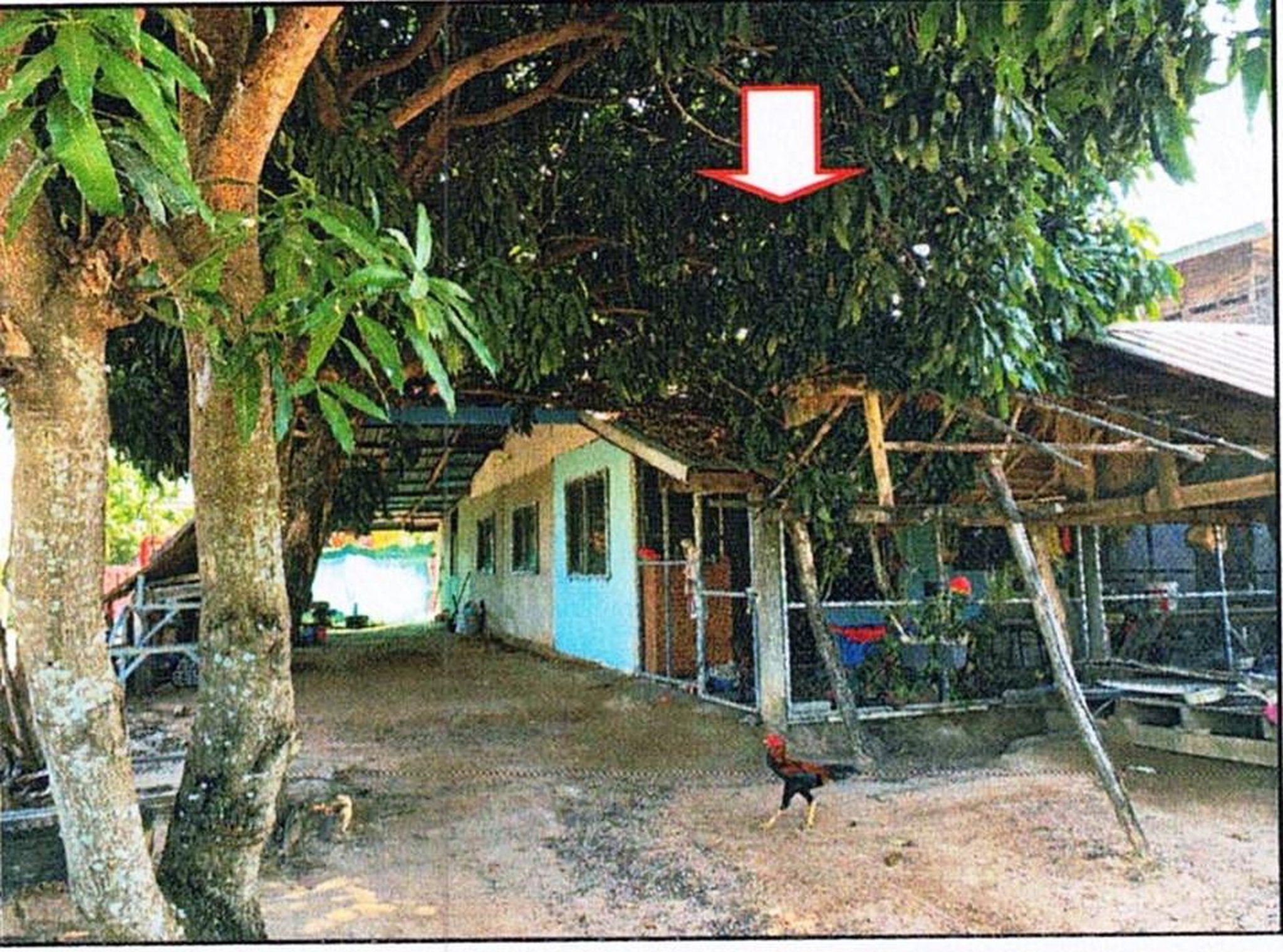ทรัพย์สถาบันโดย GHB บ้านเดี่ยว เชียงยืน