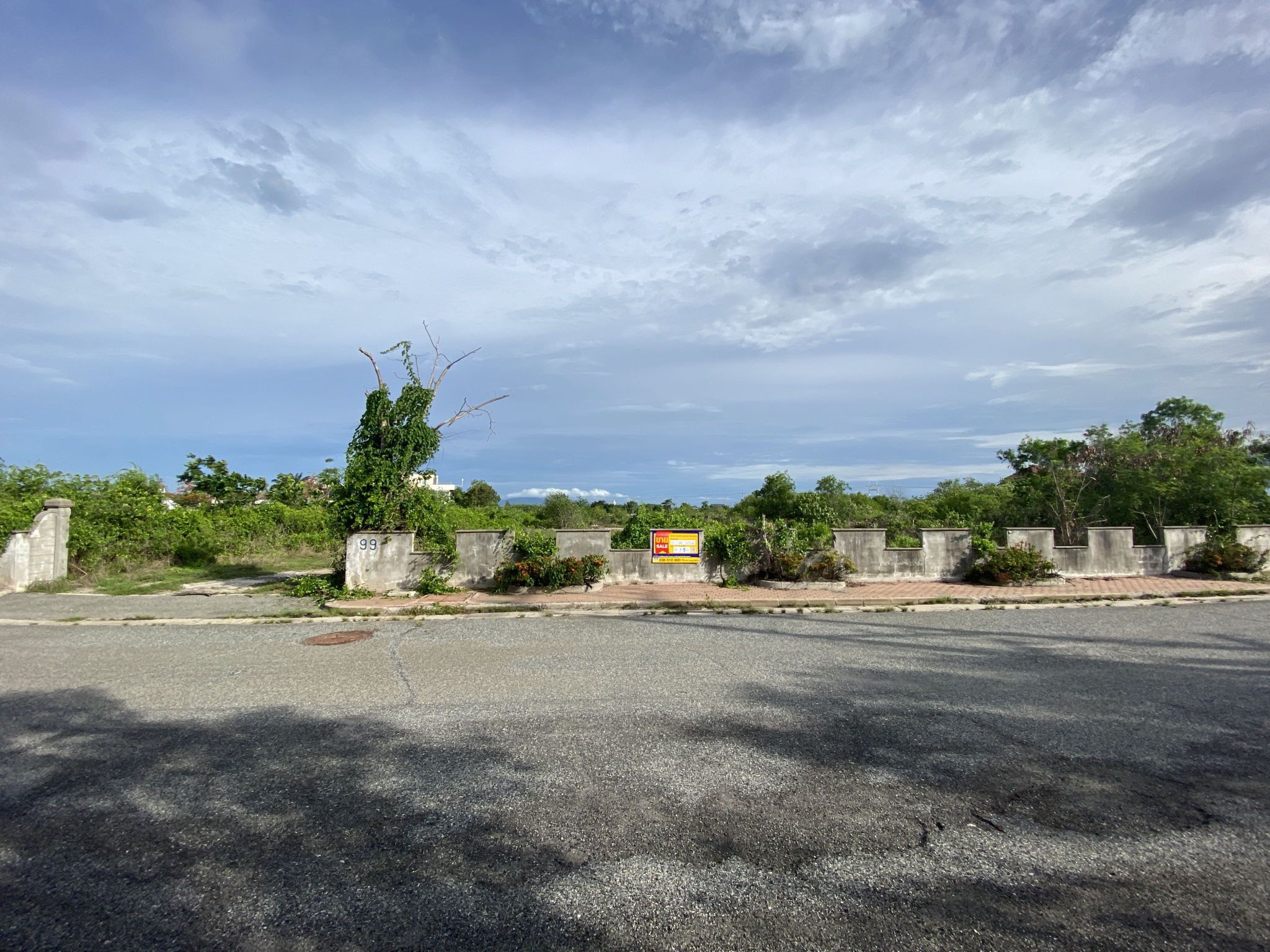 ทรัพย์สถาบันโดย BAM ที่ดิน เลคไซด์ วิลล่า 3 (Royal Lakeside Golf Club)