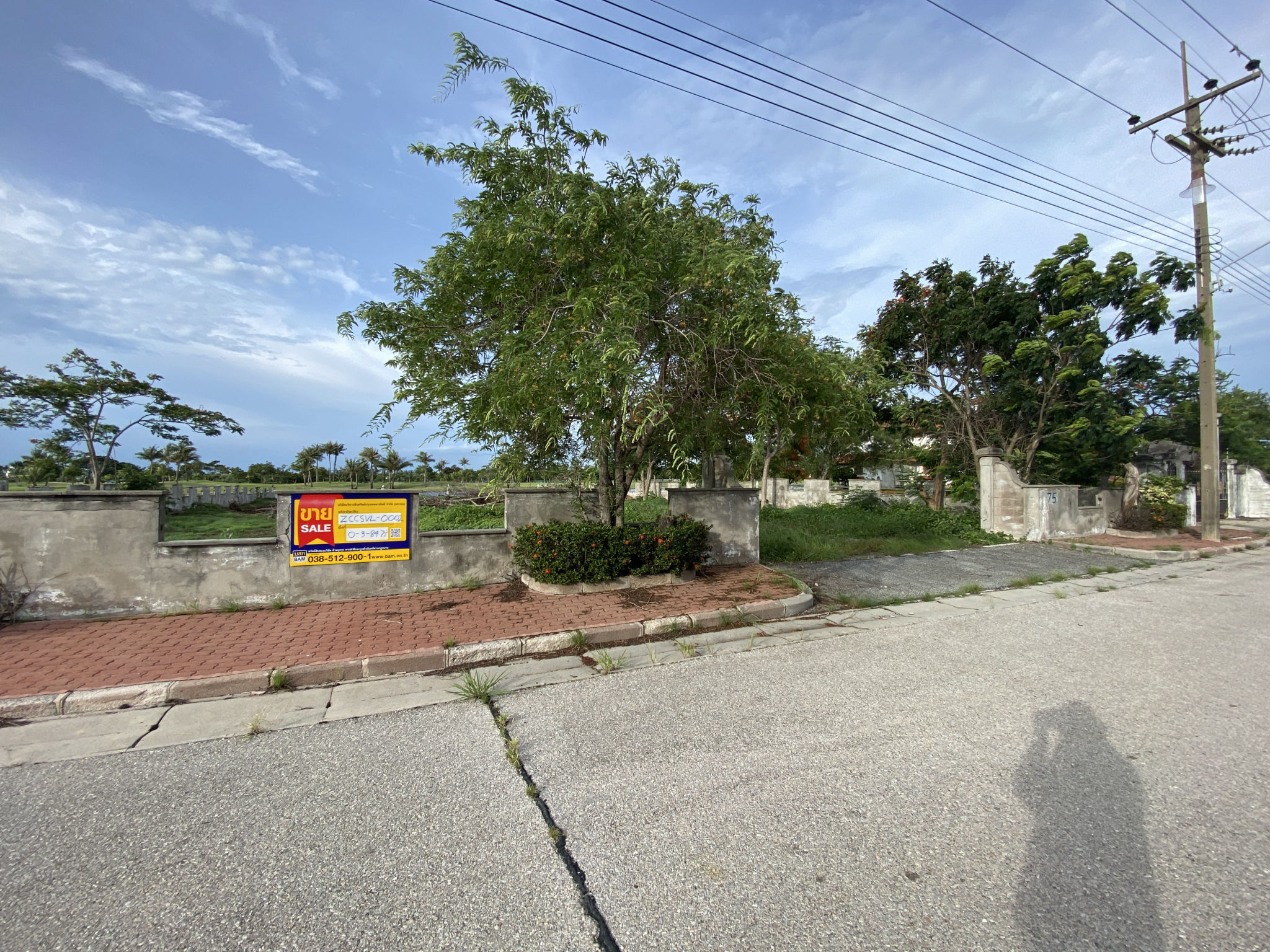 ทรัพย์สถาบันโดย BAM ที่ดิน เลคไซด์ วิลล่า 3 (Royal Lakeside Golf Club)