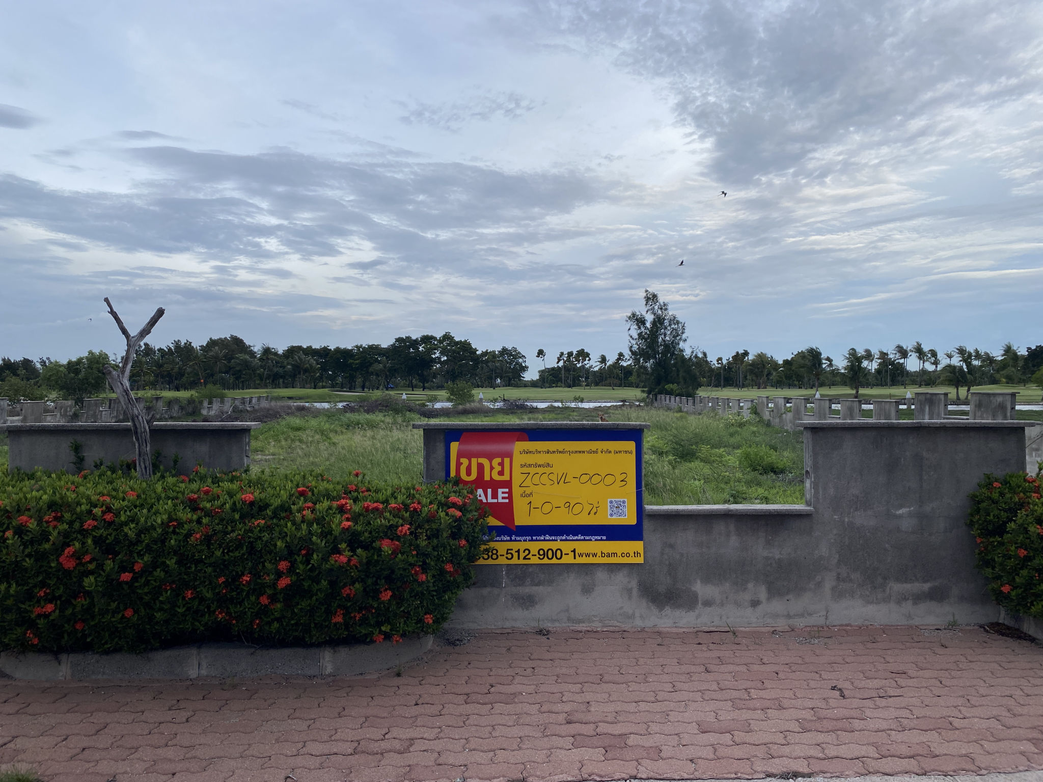 ทรัพย์สถาบันโดย BAM ที่ดิน เลคไซด์ วิลล่า 3 (Royal Lakeside Golf Club)