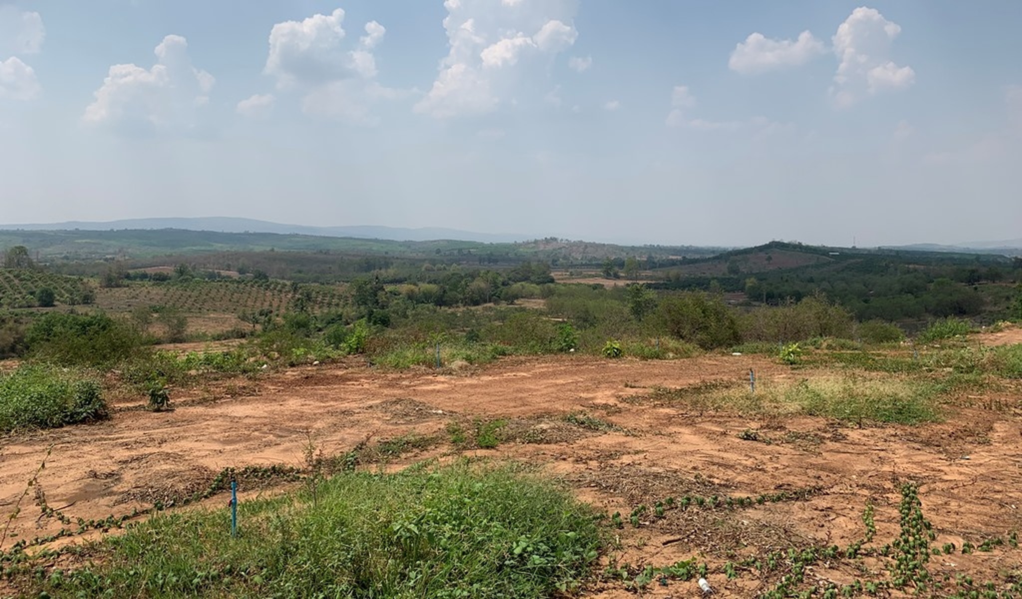 💟 ที่ดินเปล่า โครงการทรัพย์วังทองเรียลเอสเตท พิษณุโลก  💟