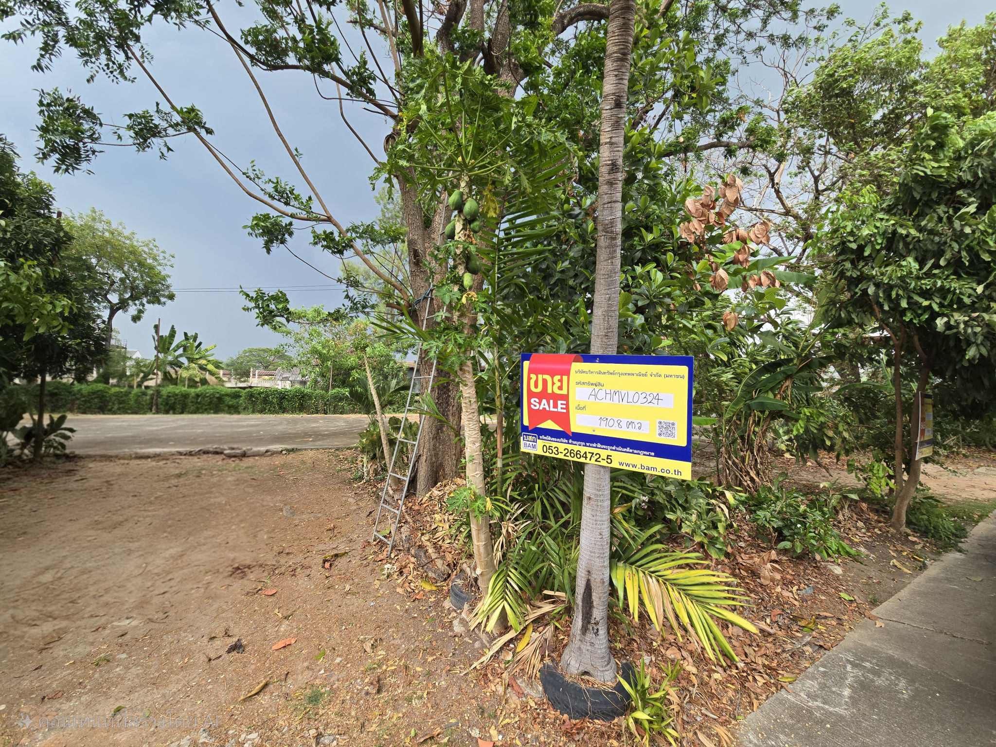 ทรัพย์สถาบันโดย BAM ที่ดิน โครงการออร์คิดเพลส เชียงใหม่ (The Grand Village Chiangmai)