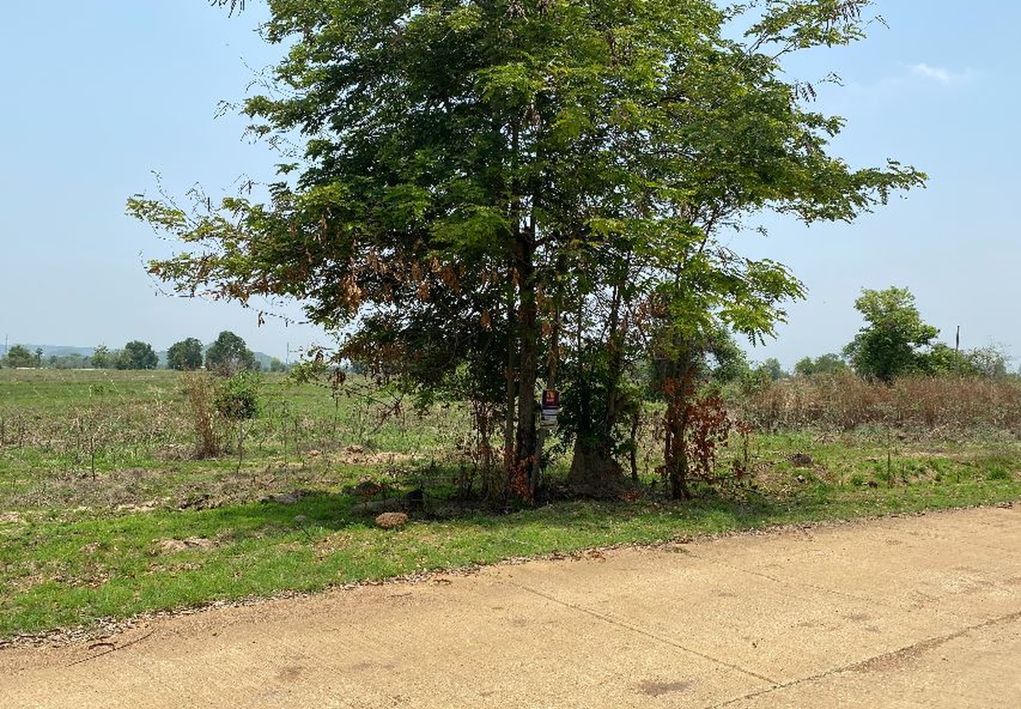 ทรัพย์สถาบันโดย BAM ที่ดิน สวนเกษตรศรีหริภุญชัย