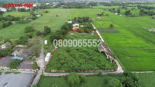 💖 ที่ดิน บ้านนา ราคาพิเศษ! 💖
