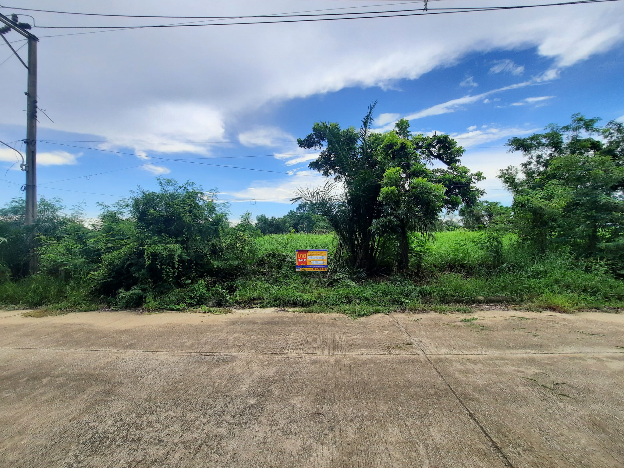 ทรัพย์สถาบันโดย BAM ที่ดิน ฉลองกรุงริเวอร์วิลล์ รีสอร์ท